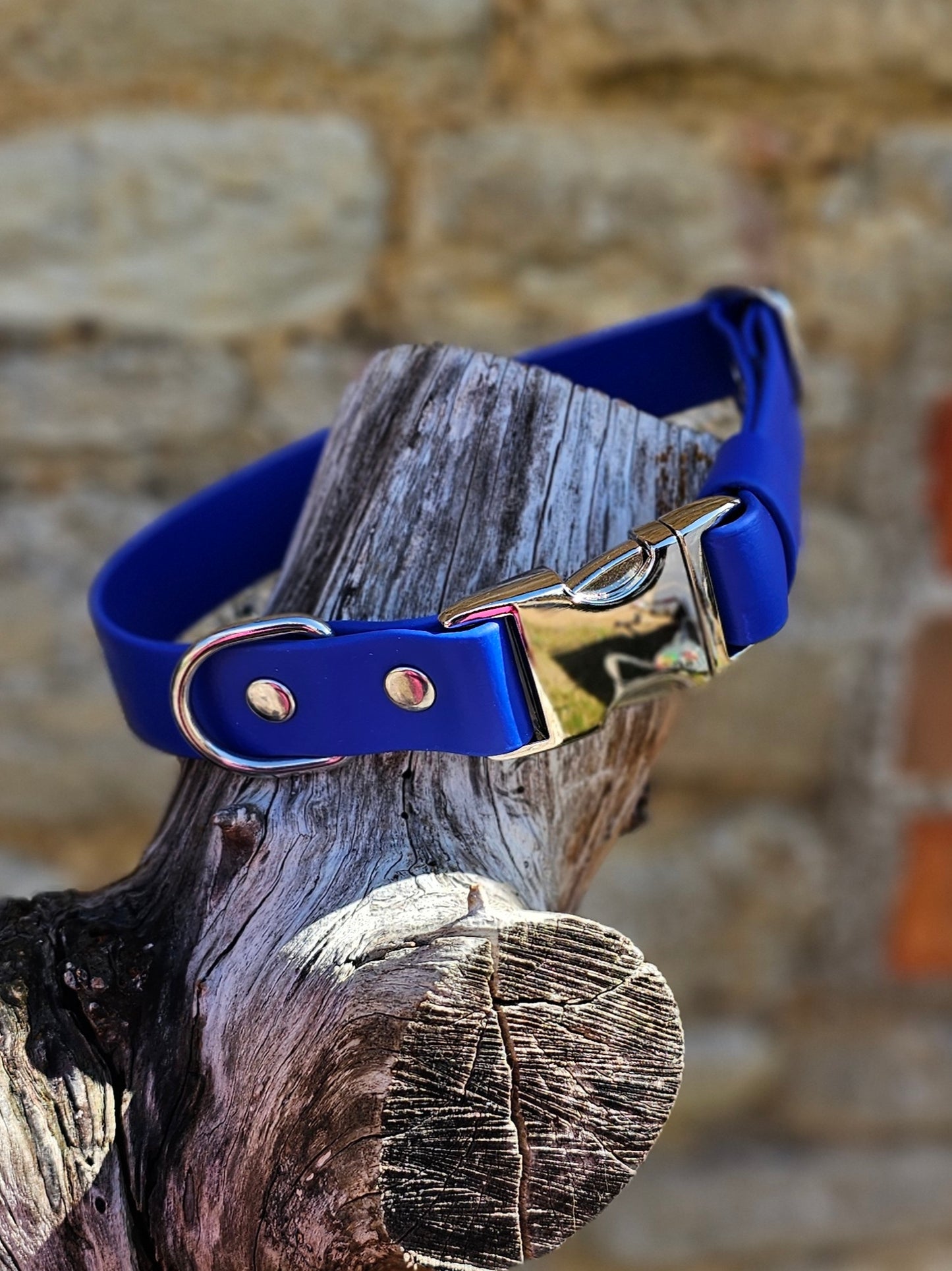 Royal Blue Waterproof BioThane® Quick Release Dog Collar