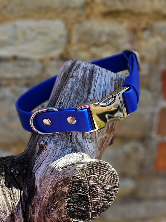 Royal Blue Waterproof BioThane® Quick Release Dog Collar