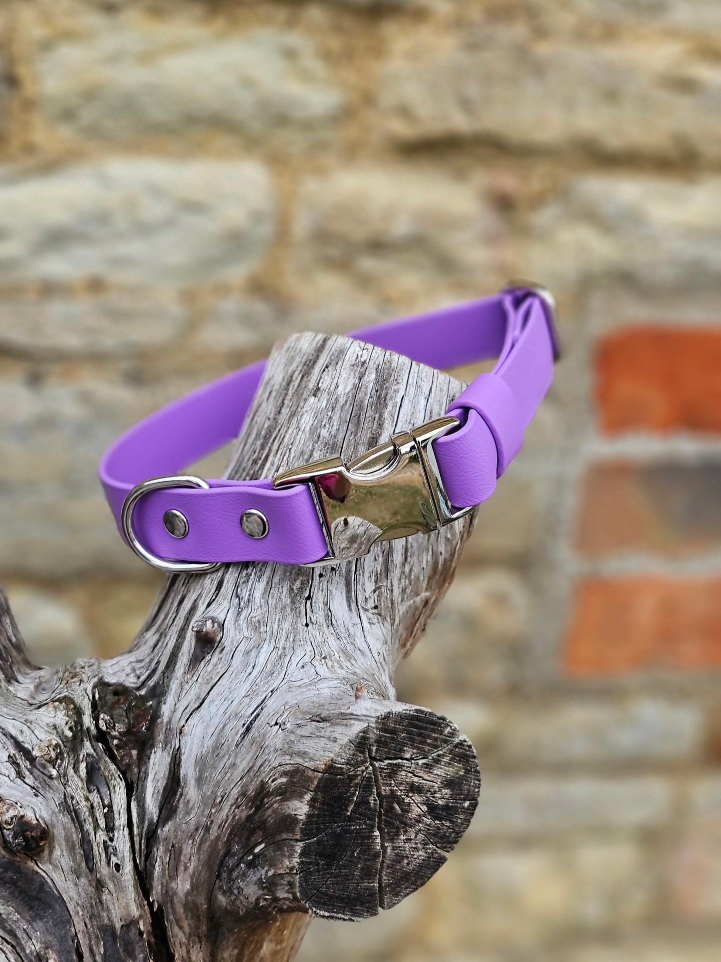 Amethyst Waterproof BioThane® Quick Release Dog Collar