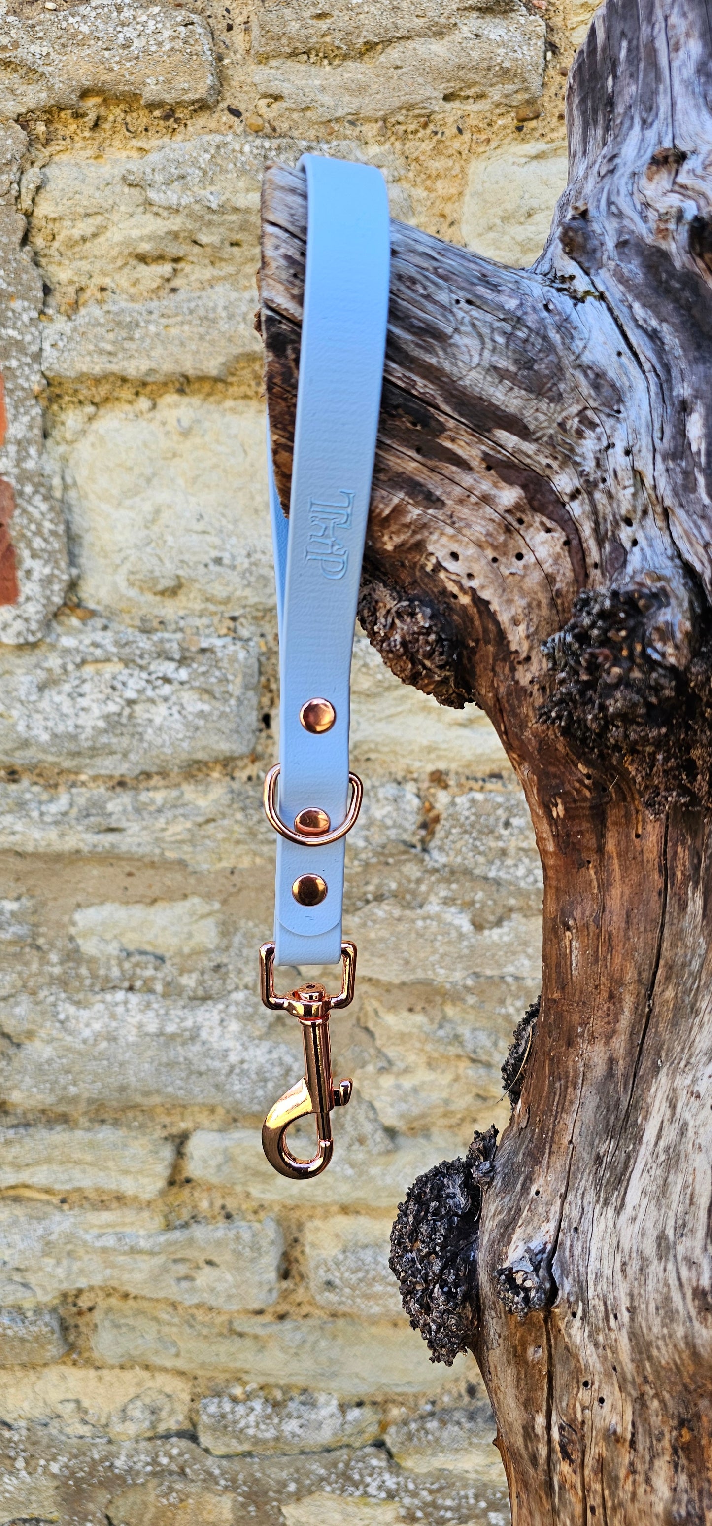 Baby Blue - Waterproof BioThane® Traffic Handle – Dog Traffic Leash