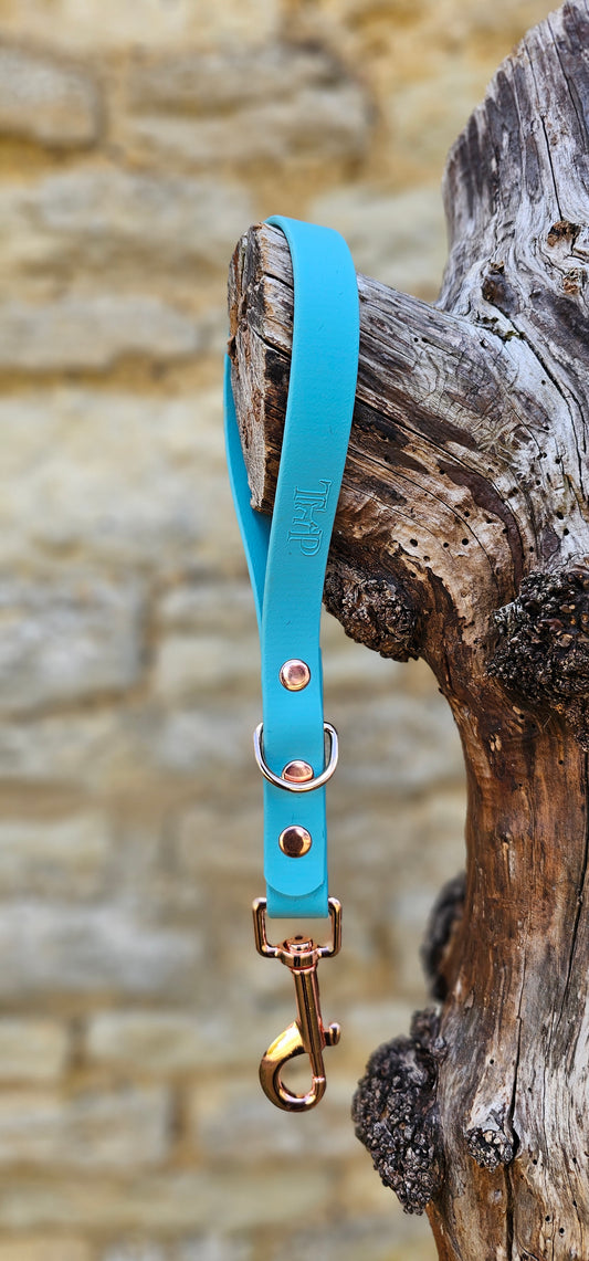 Duckegg - Waterproof BioThane® Traffic Handle – Dog Traffic Leash