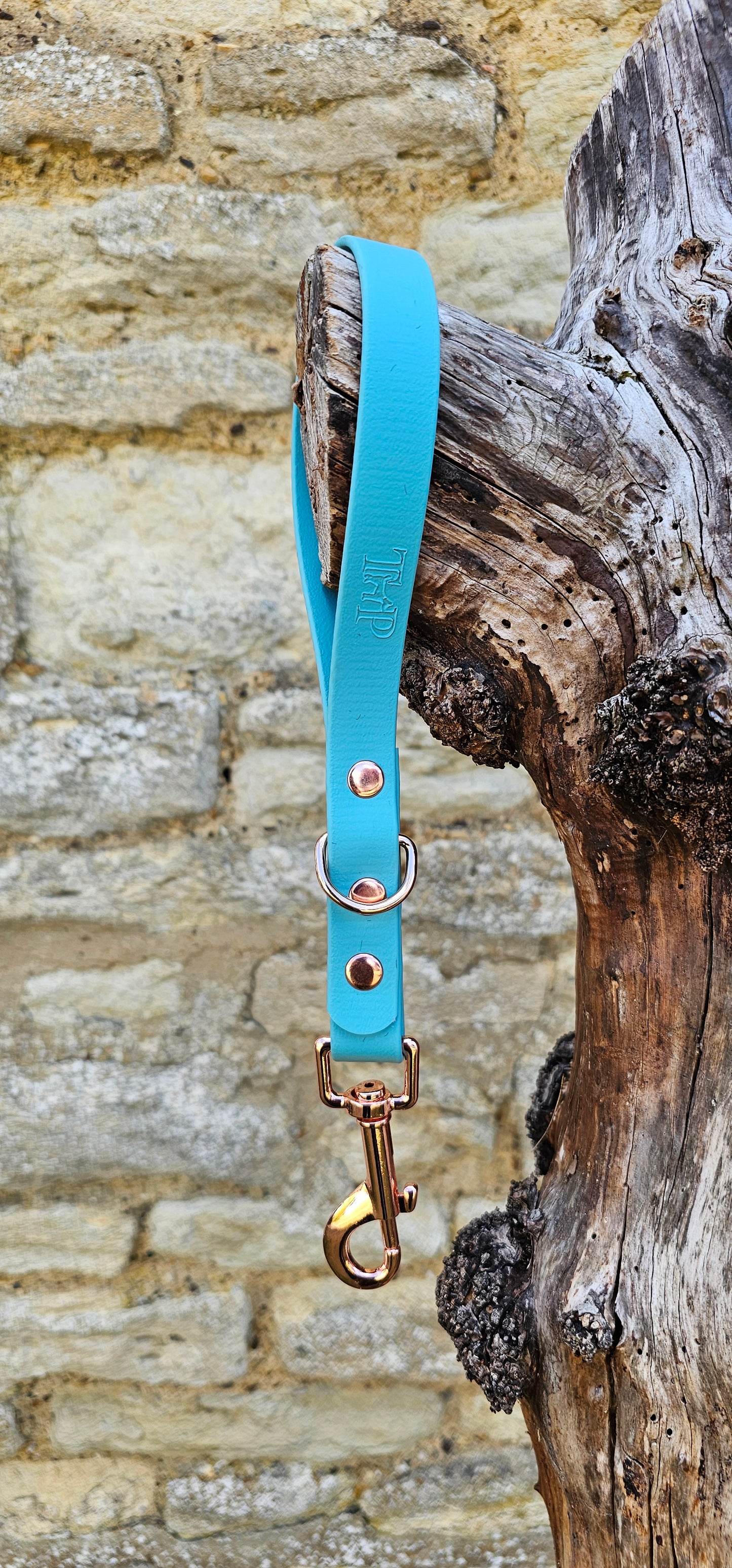 Duckegg - Waterproof BioThane® Traffic Handle – Dog Traffic Leash