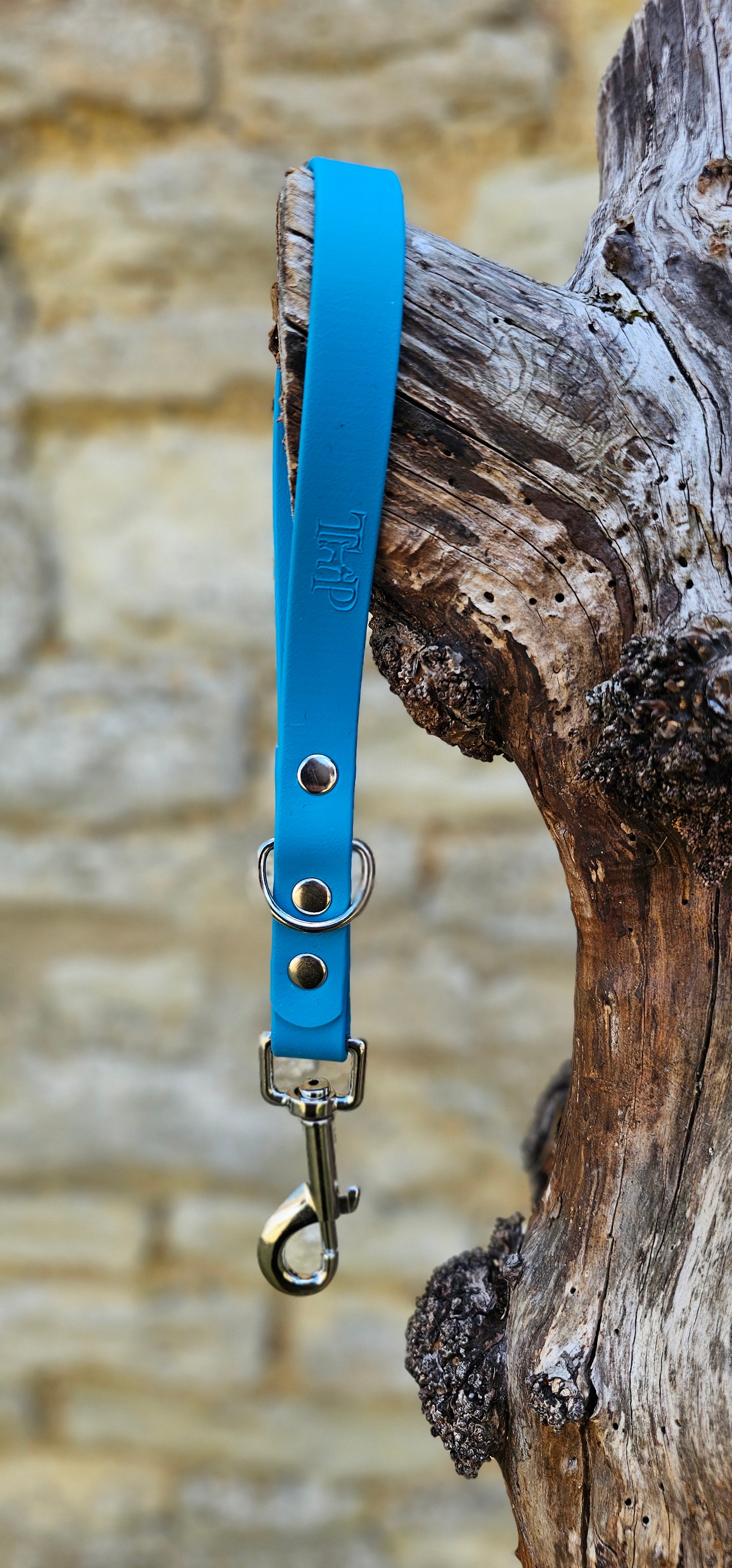 Lagune - Waterproof BioThane® Traffic Handle – Dog Traffic Leash