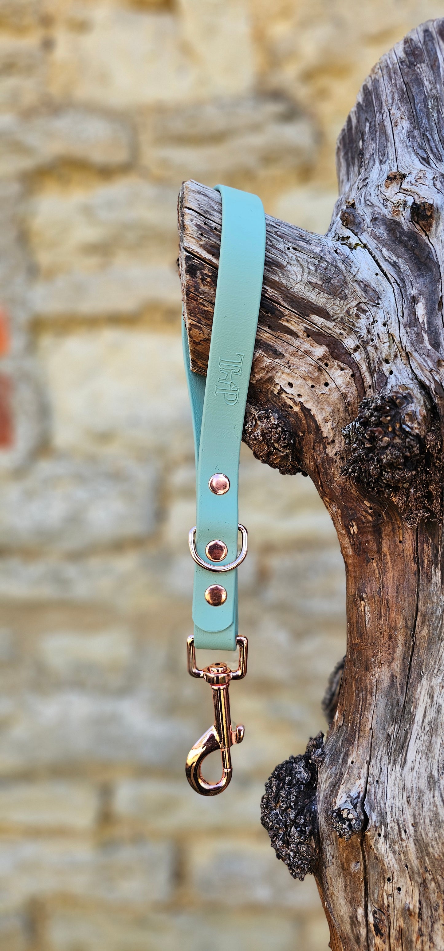 Sage - Waterproof BioThane® Traffic Handle – Dog Traffic Leash