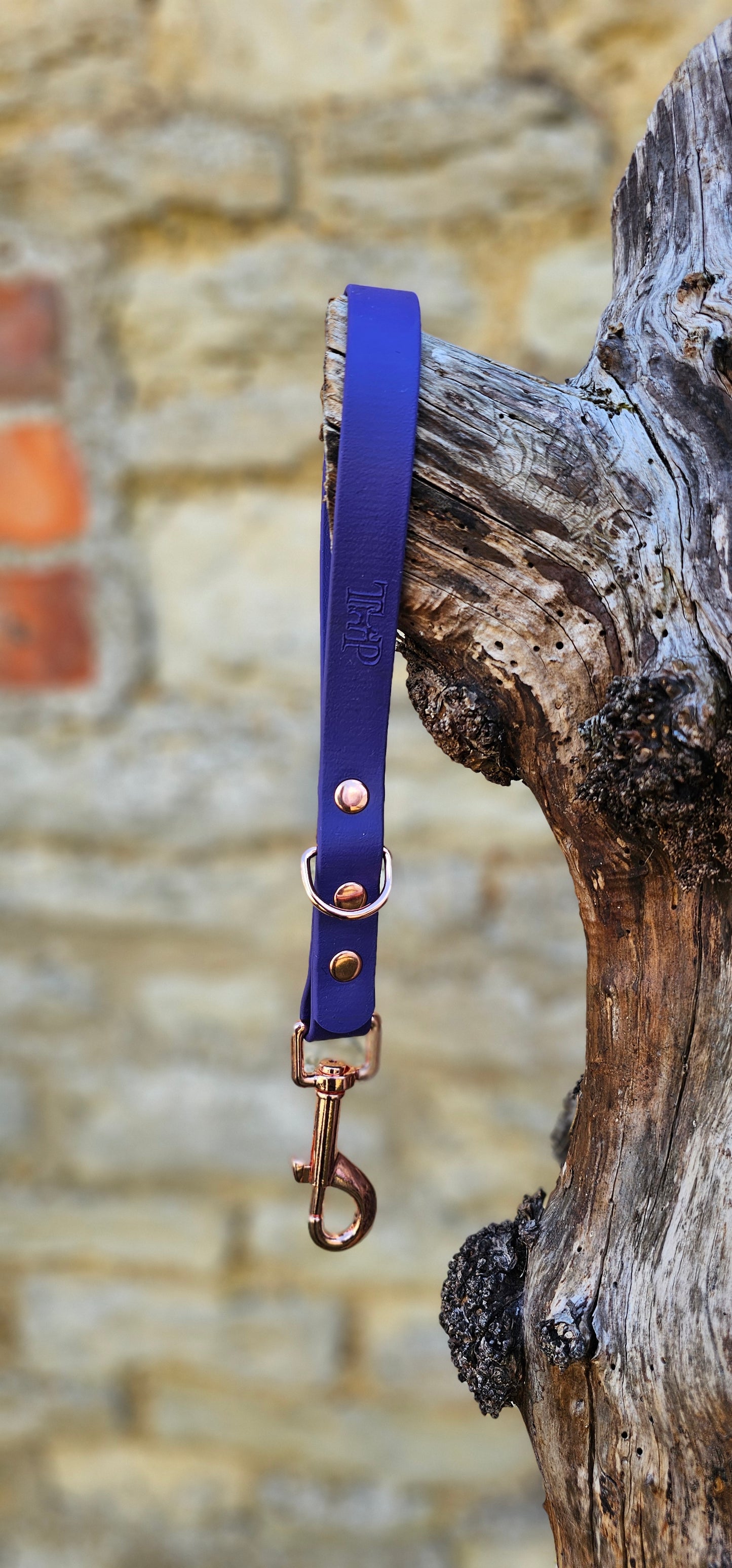Purple - Waterproof BioThane® Traffic Handle – Dog Traffic Leash