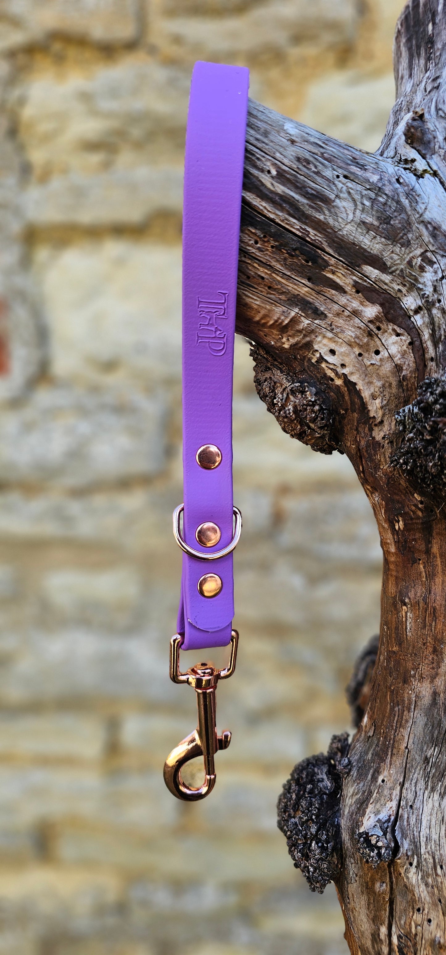 Amethyst - Waterproof BioThane® Traffic Handle – Dog Traffic Leash