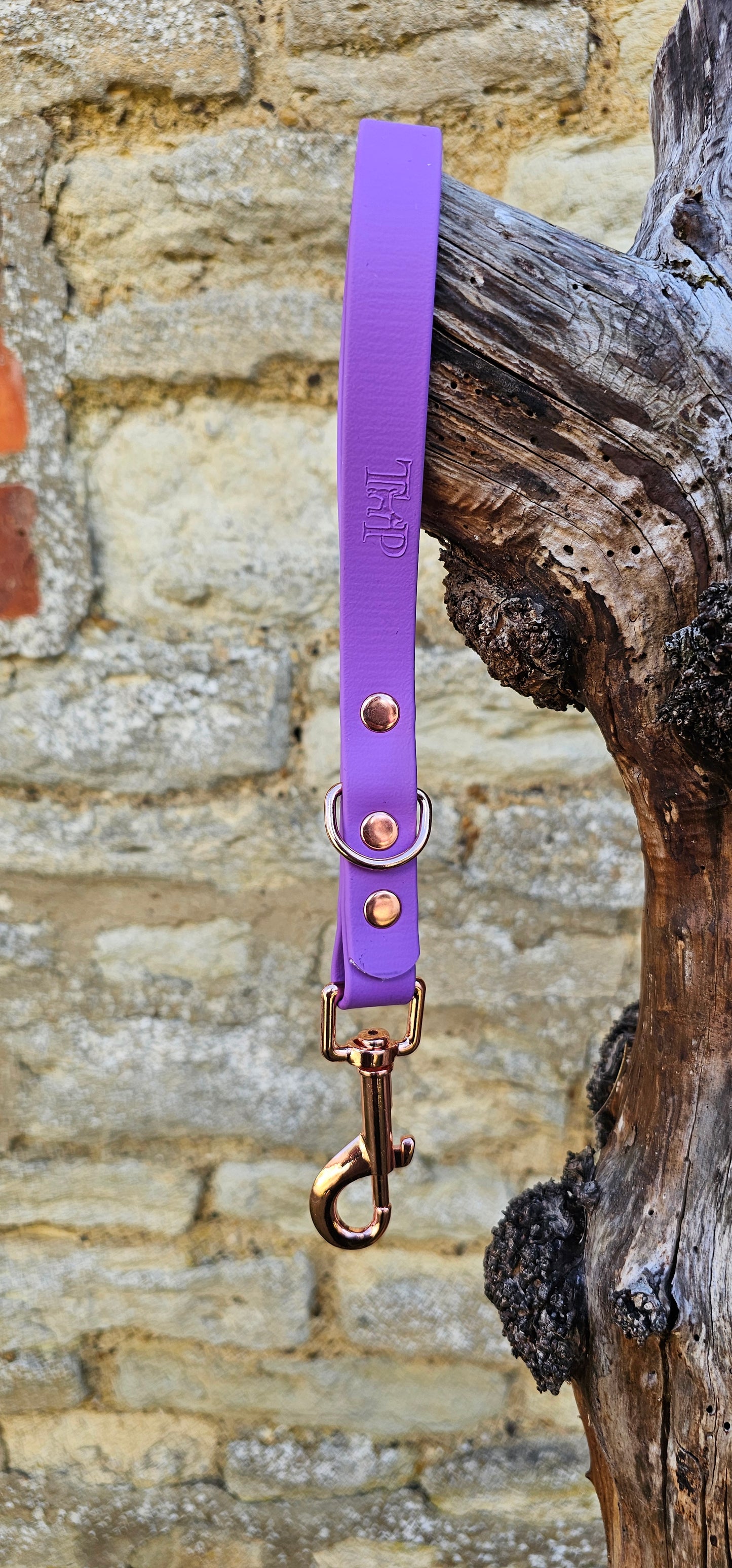 Amethyst - Waterproof BioThane® Traffic Handle – Dog Traffic Leash