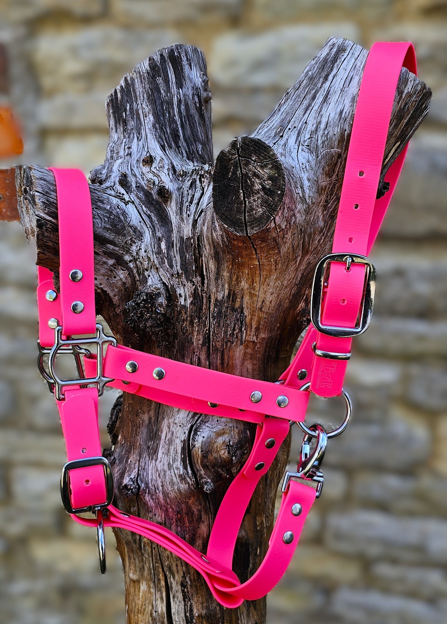 Neon Pink - Waterproof BioThane® Horse Halters / Head Collars