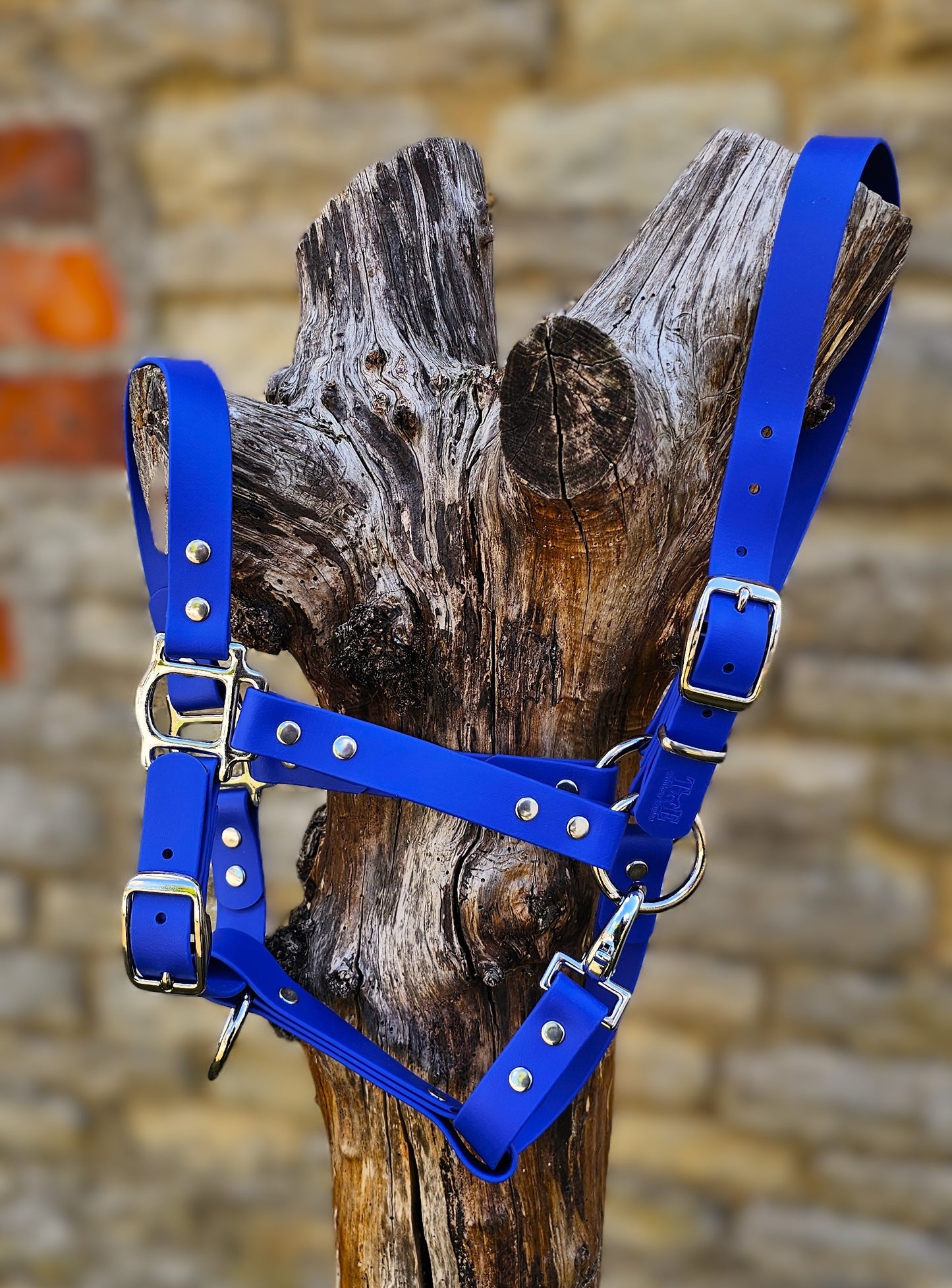 Royal Blue - Waterproof BioThane® Horse Halters / Head Collars