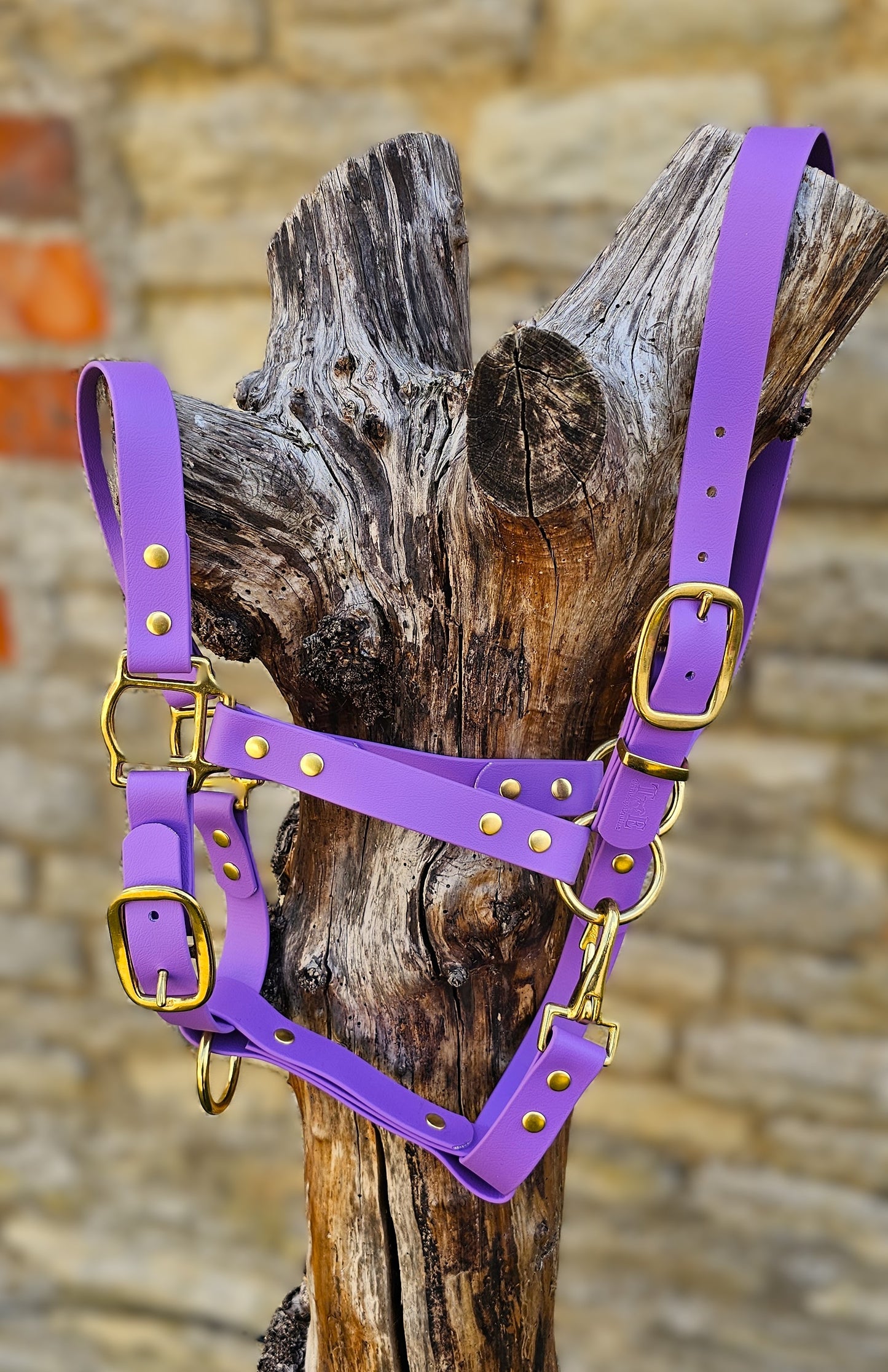 Amethyst - Waterproof BioThane® Horse Halters / Head Collars