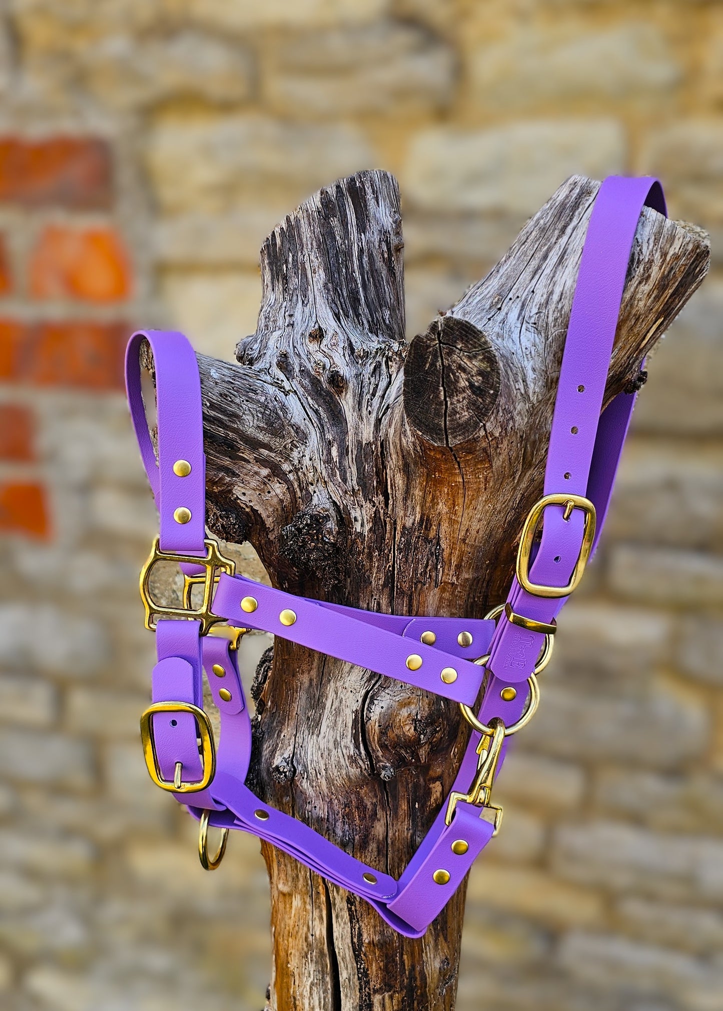 Amethyst - Waterproof BioThane® Horse Halters / Head Collars