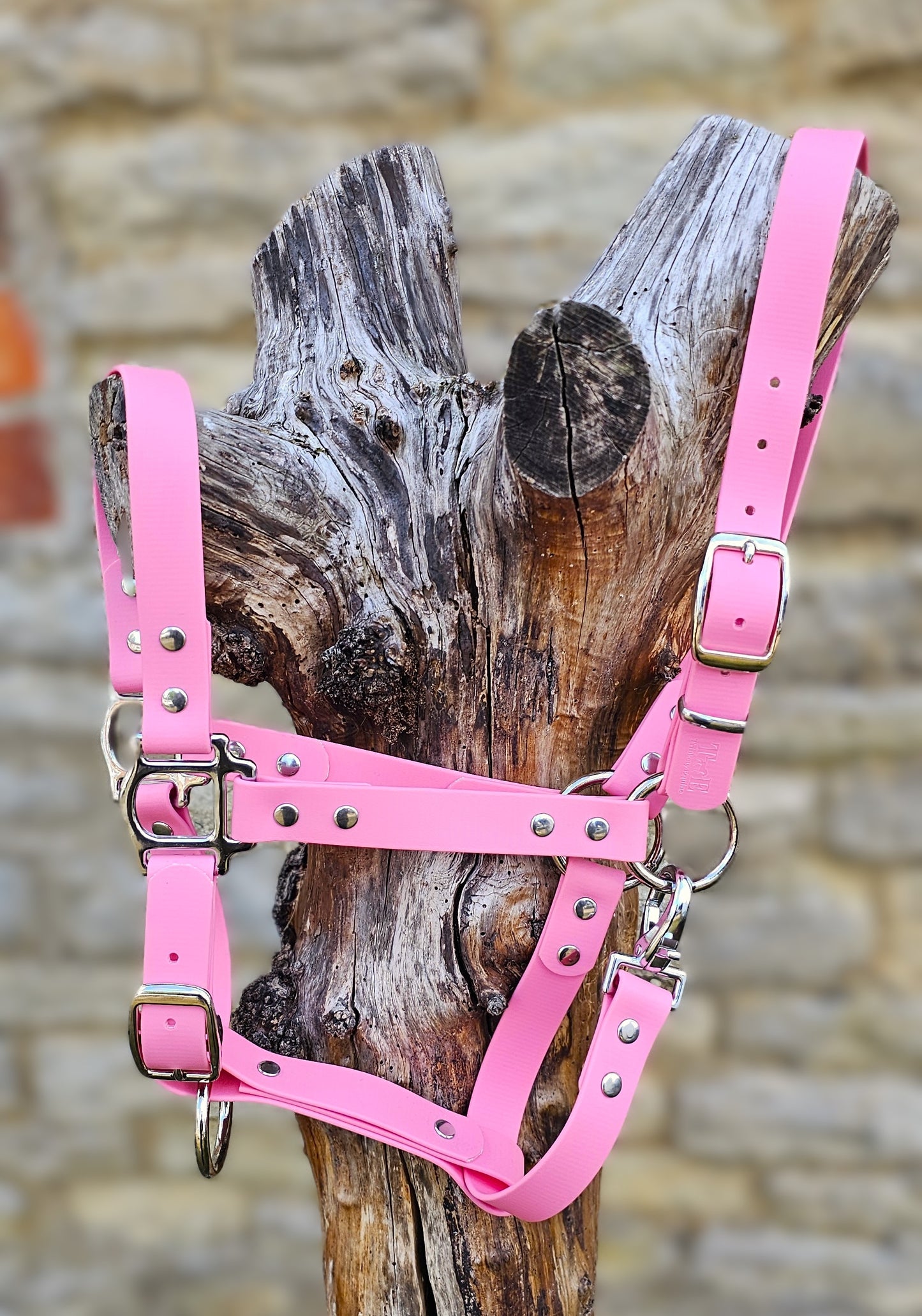 Baby Pink - Waterproof BioThane® Horse Halters / Head Collars