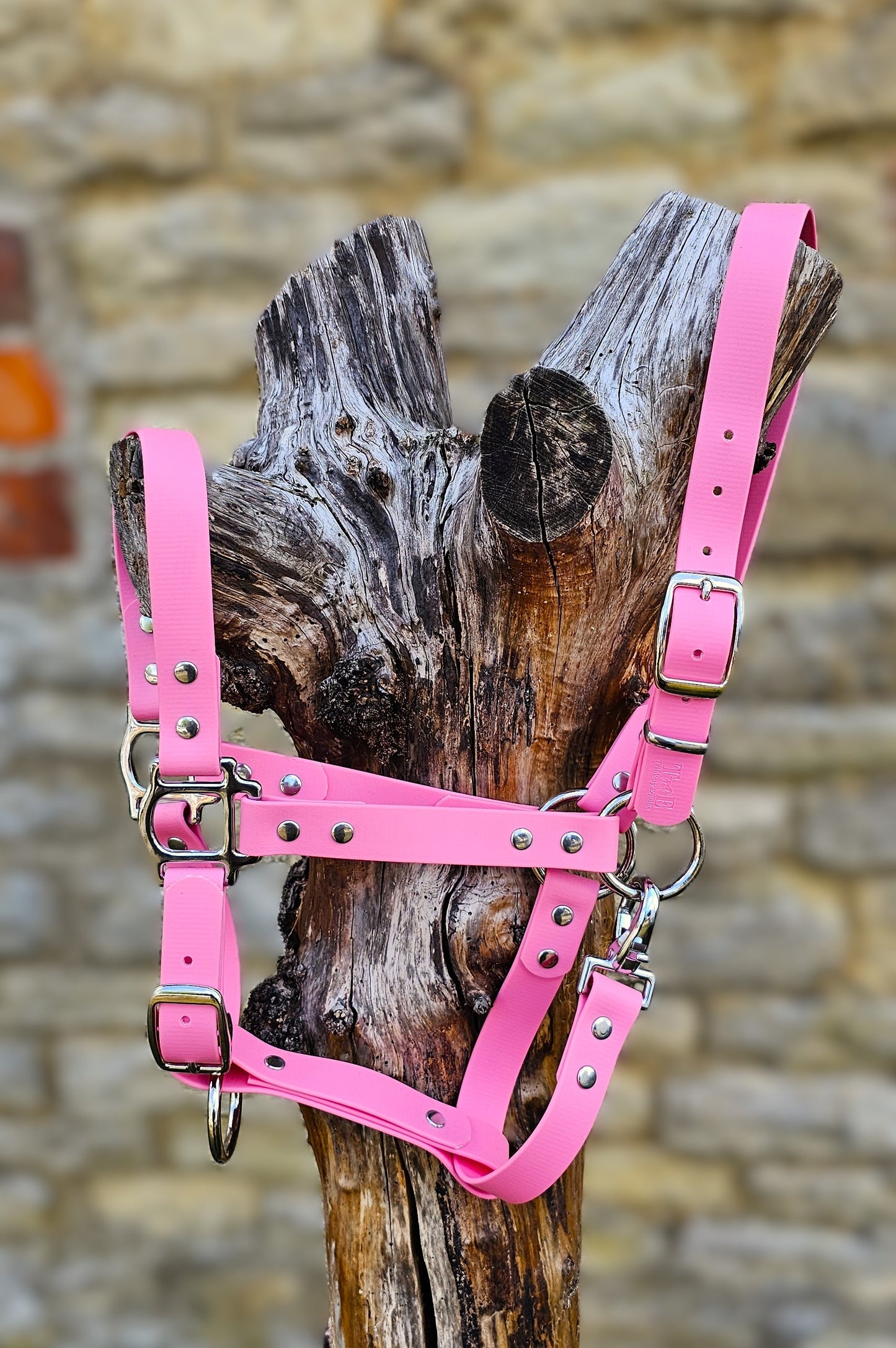 Baby Pink - Waterproof BioThane® Horse Halters / Head Collars