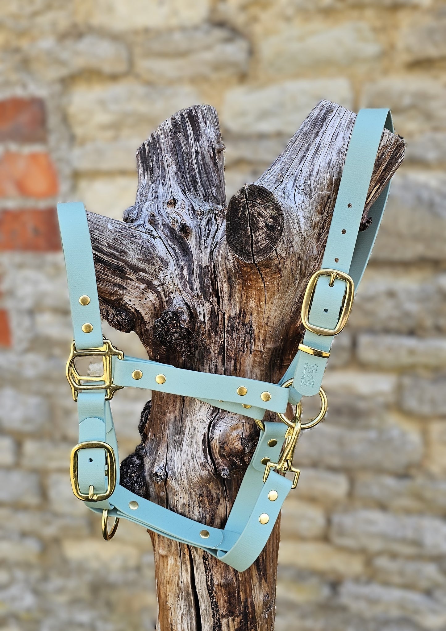 Sage - Waterproof BioThane® Horse Halters / Head Collars