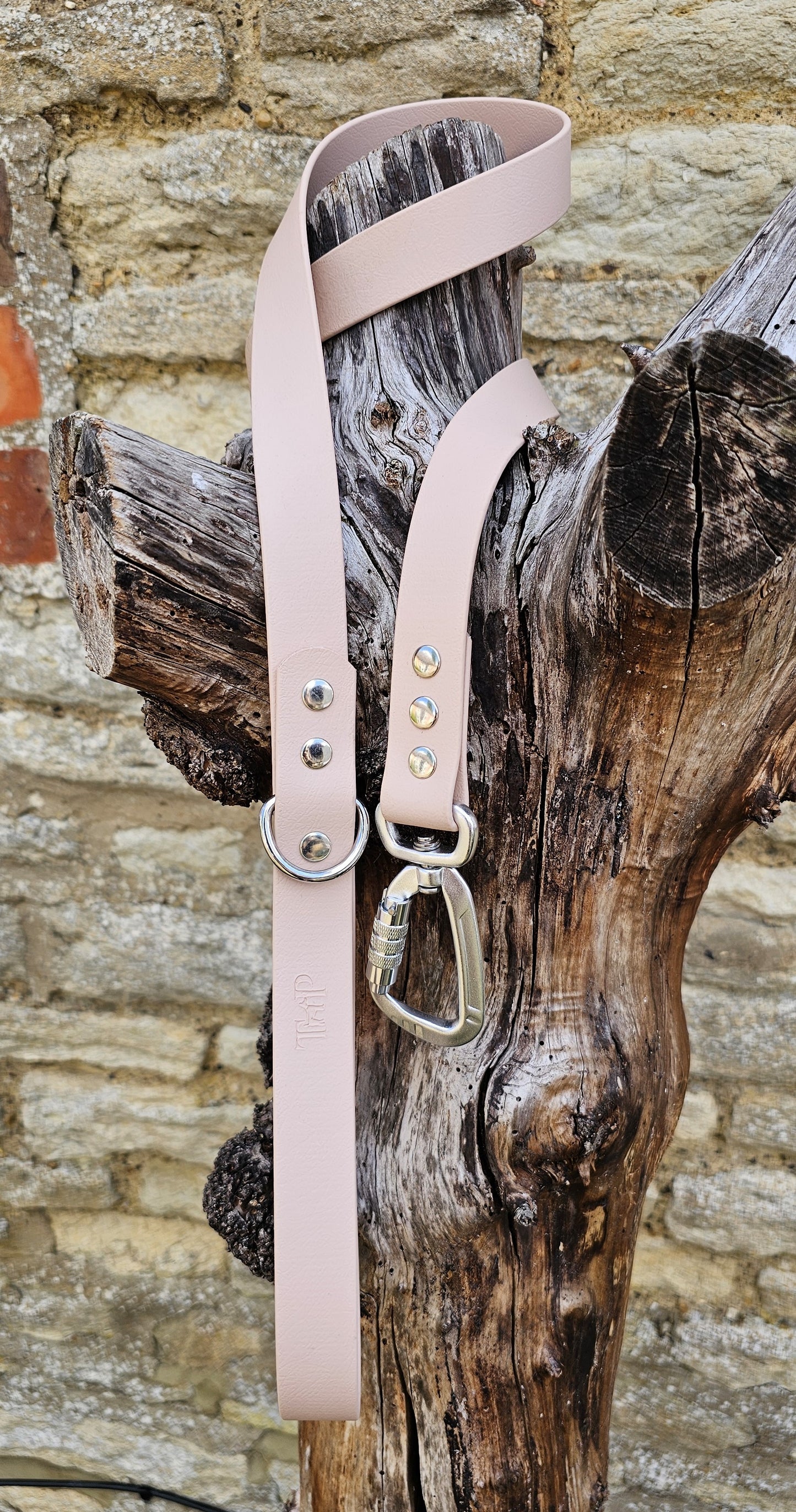 Powder Pearl - Waterproof BioThane© Dog Lead