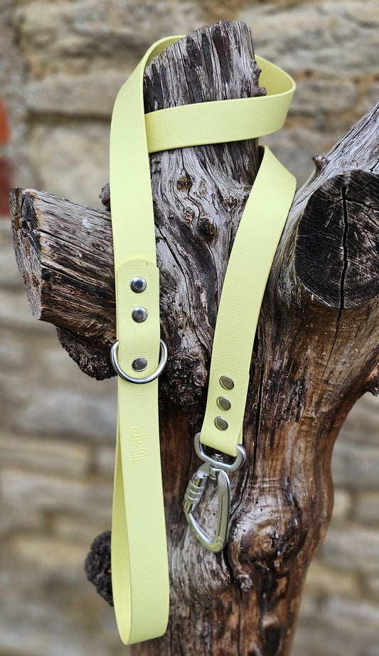 Lemon Waterproof BioThane© Dog Lead
