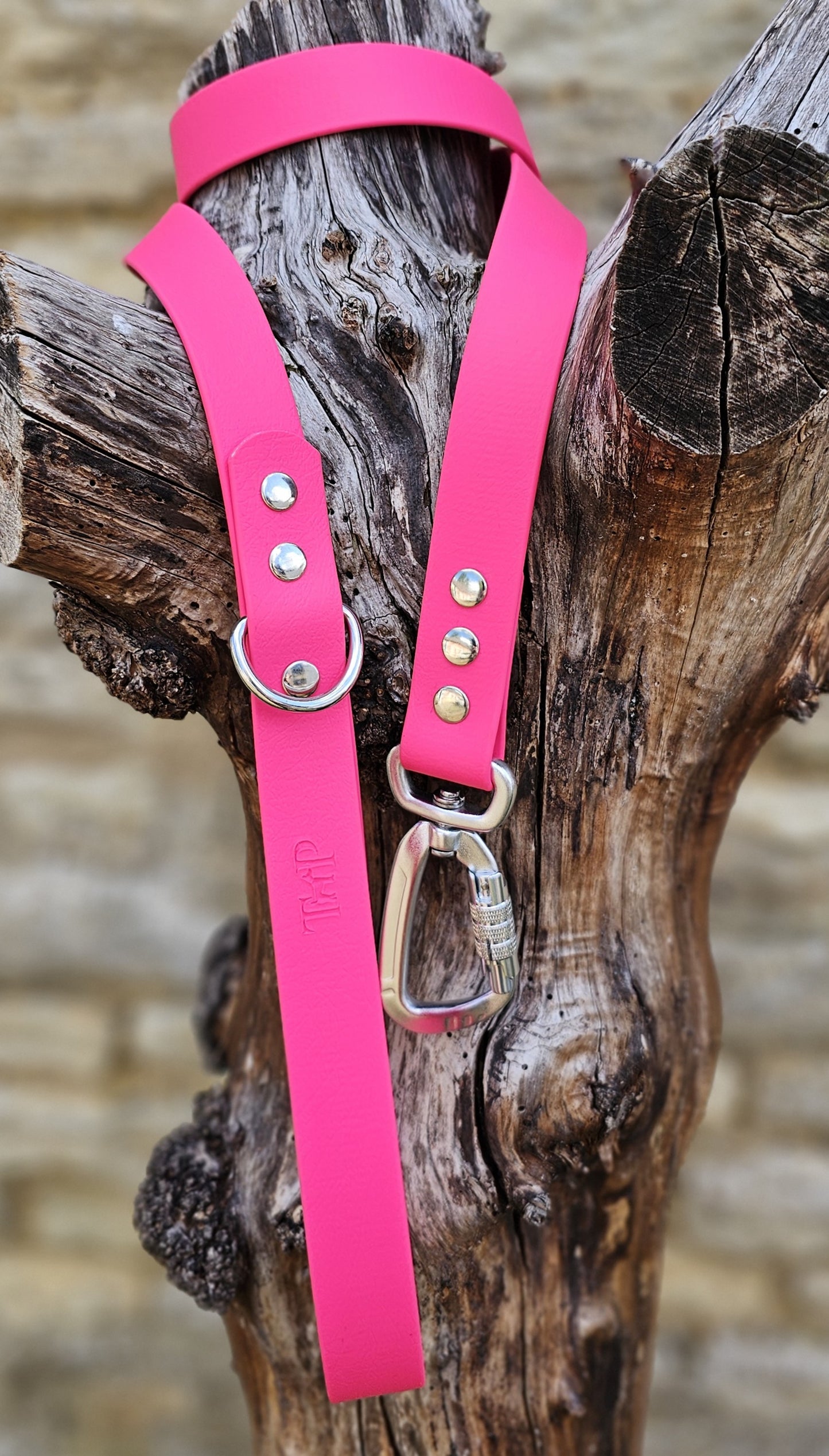 Passion Pink - Waterproof BioThane© Dog Lead