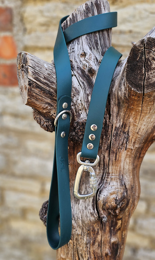 Dark Green Waterproof BioThane© Dog Lead