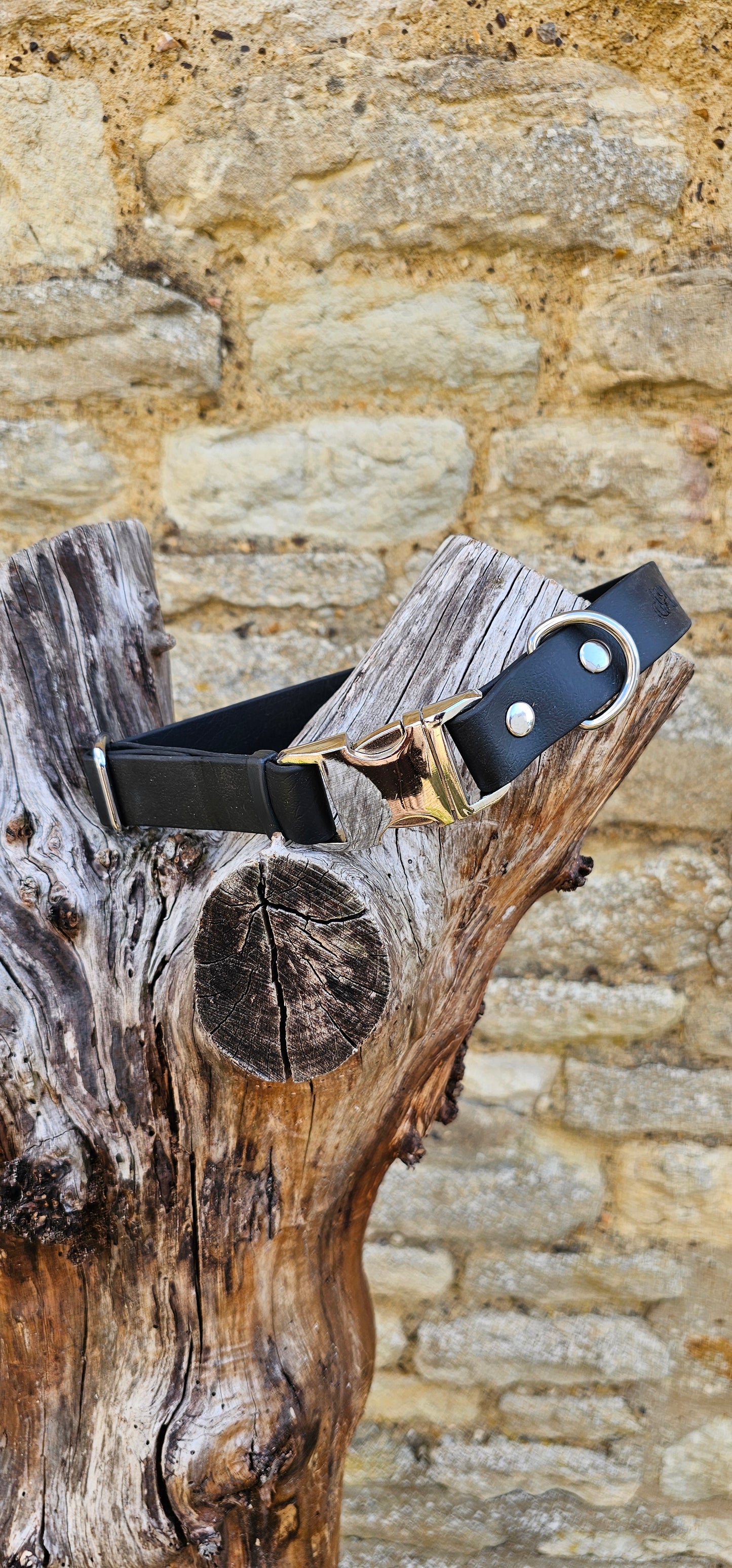 Black Waterproof BioThane® Quick Release Dog Collar