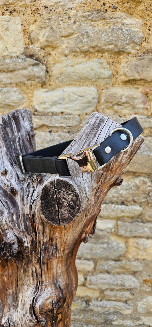 Black Waterproof BioThane® Quick Release Dog Collar