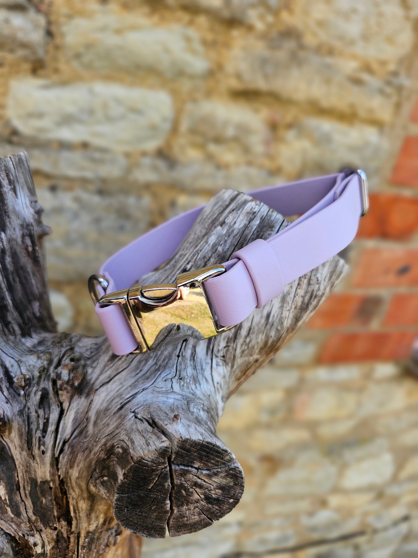 Lilac Waterproof BioThane® Quick Release Dog Collar