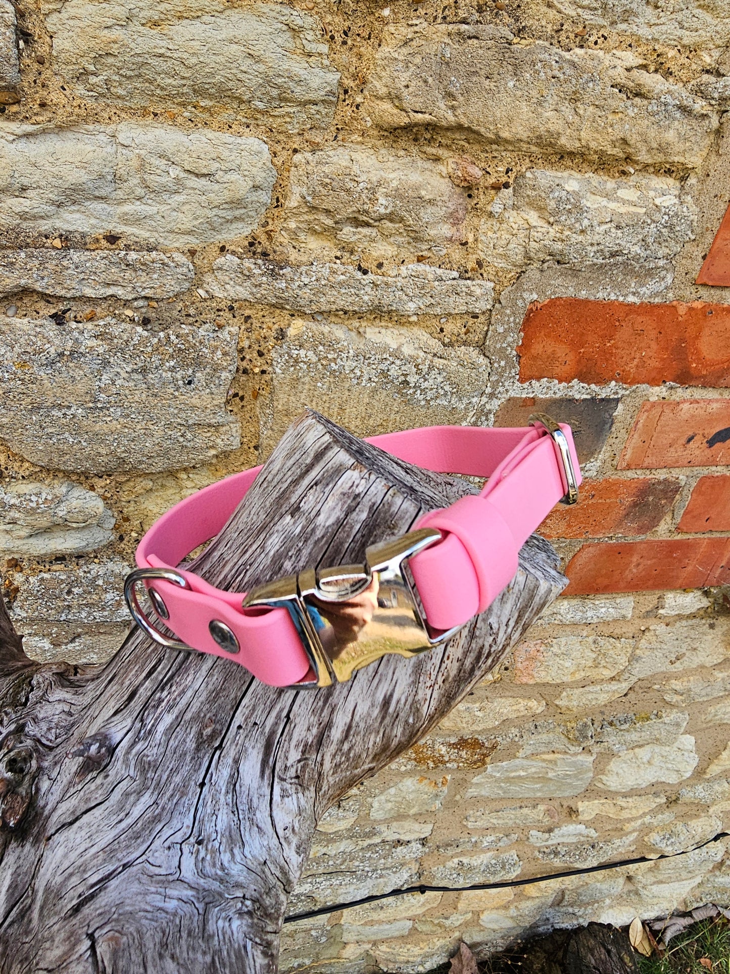Baby Pink Waterproof BioThane® Quick Release Dog Collar