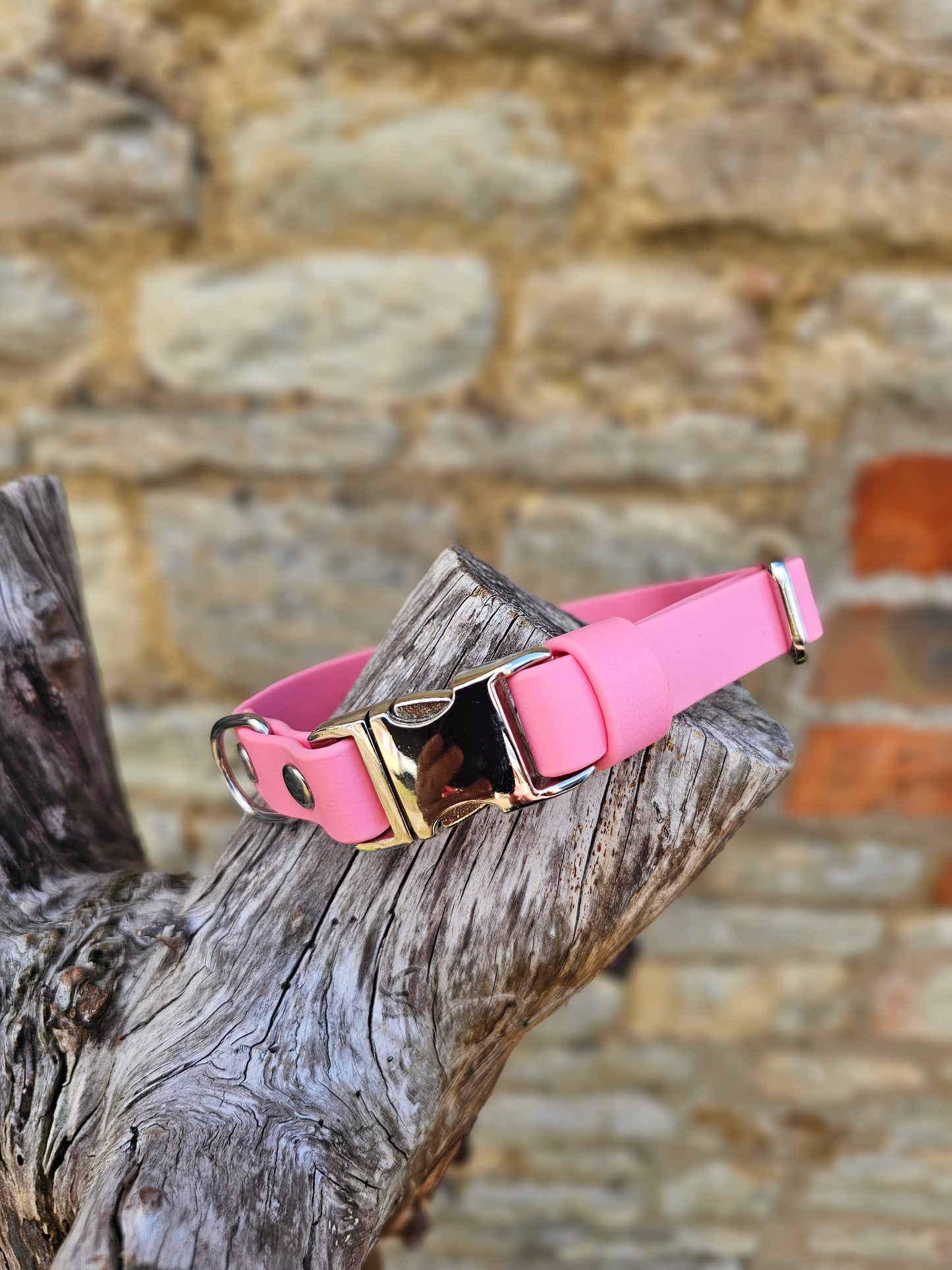 Baby Pink Waterproof BioThane® Quick Release Dog Collar