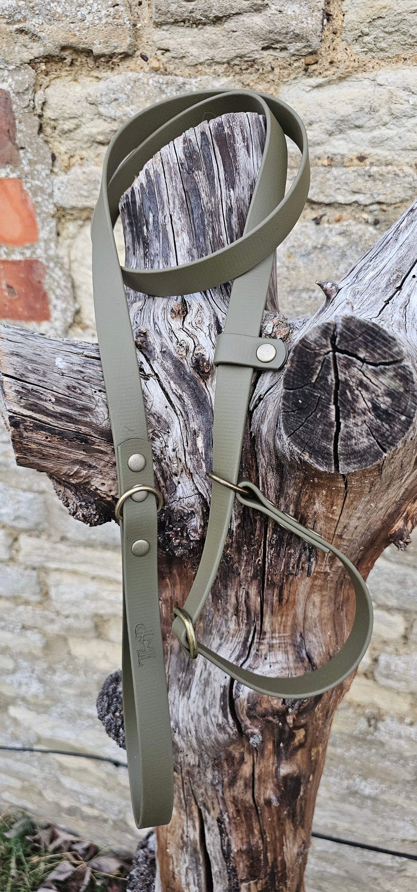Olive - Waterproof BioThane© Dog Slip Lead