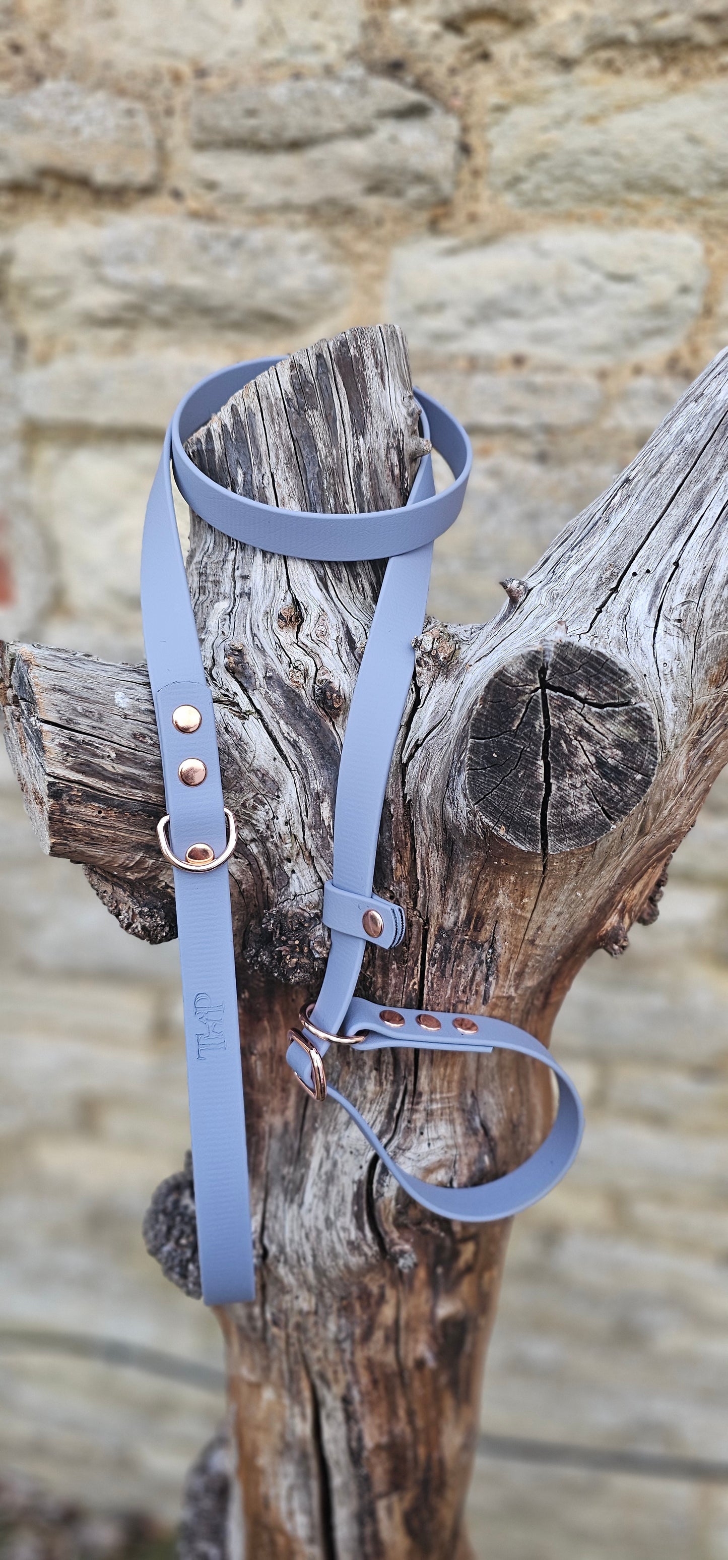 Grey - Waterproof BioThane© Dog Slip Lead