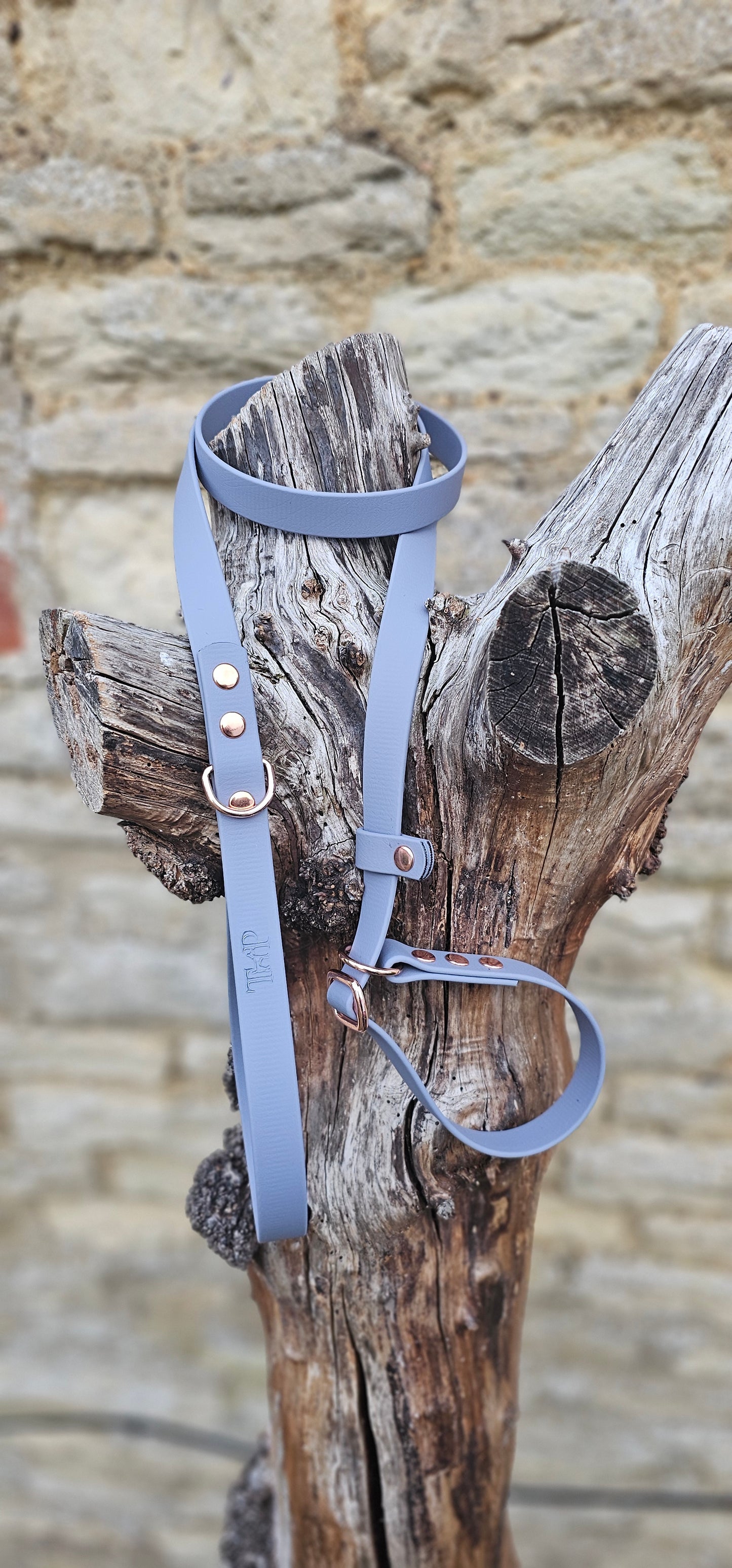 Grey - Waterproof BioThane© Dog Slip Lead