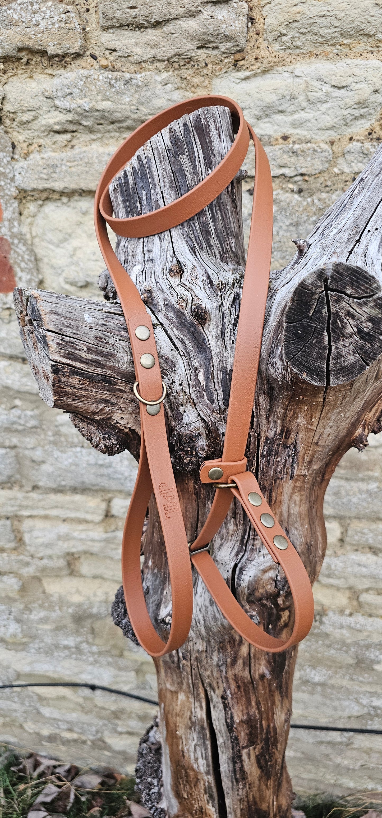 Tan - Waterproof BioThane© Dog Slip Lead