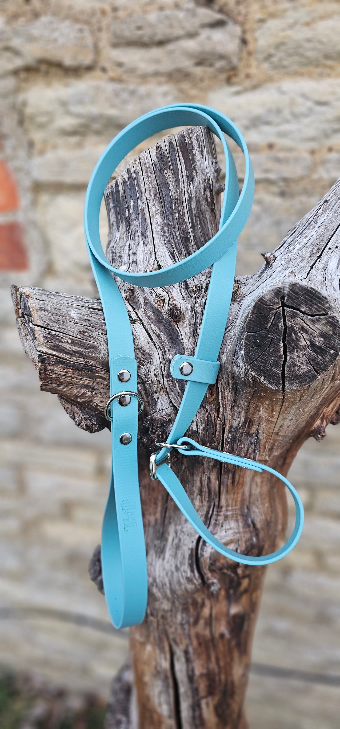Duck Egg - Waterproof BioThane© Dog Slip Lead