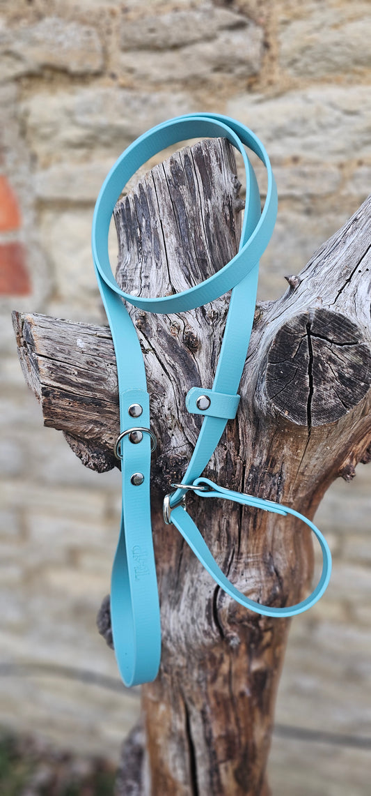Duck Egg - Waterproof BioThane© Dog Slip Lead
