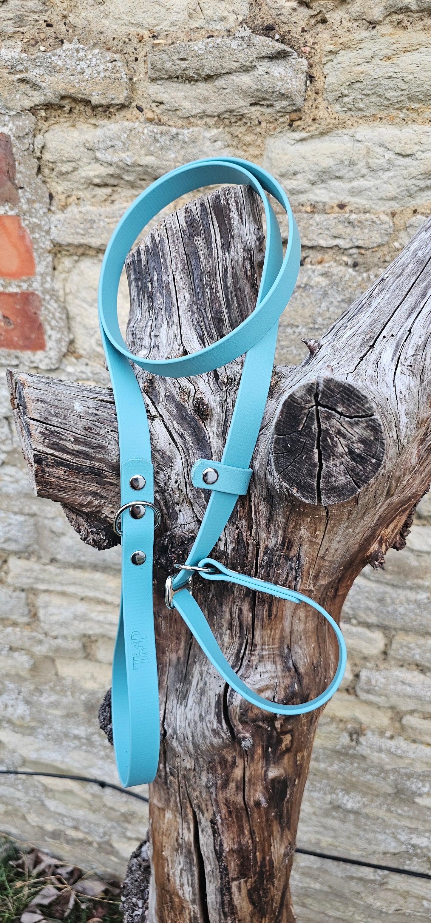 Duck Egg - Waterproof BioThane© Dog Slip Lead