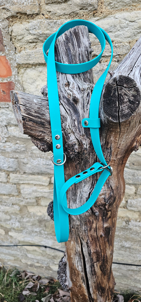Teal - Waterproof BioThane© Dog Slip Lead