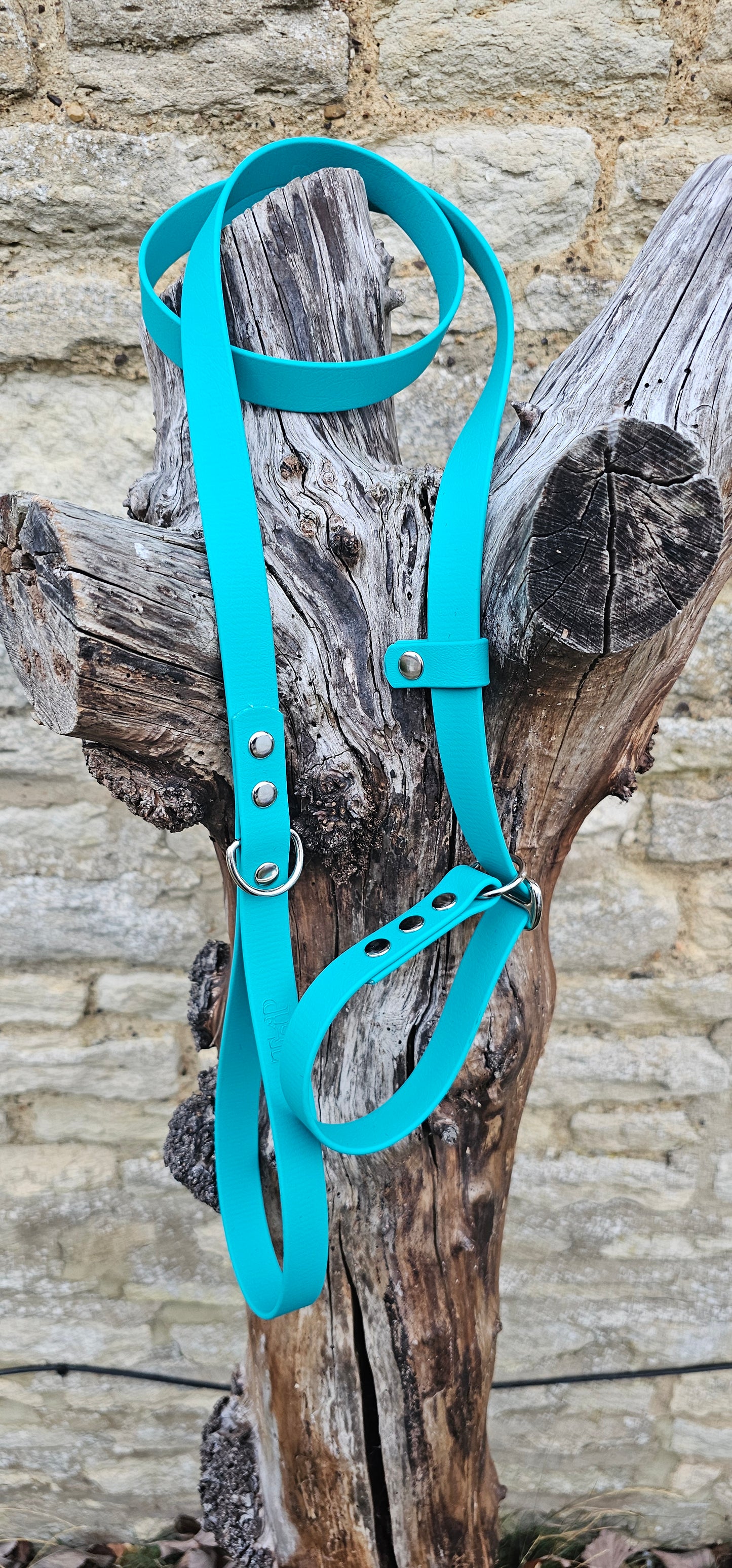 Teal - Waterproof BioThane© Dog Slip Lead