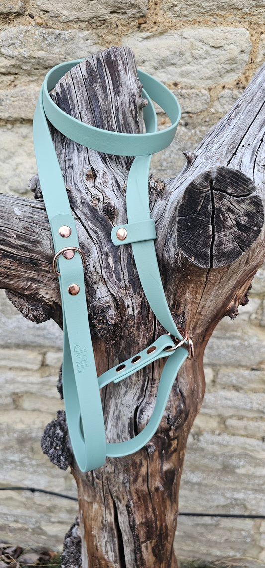 Sage - Waterproof BioThane© Dog Slip Lead