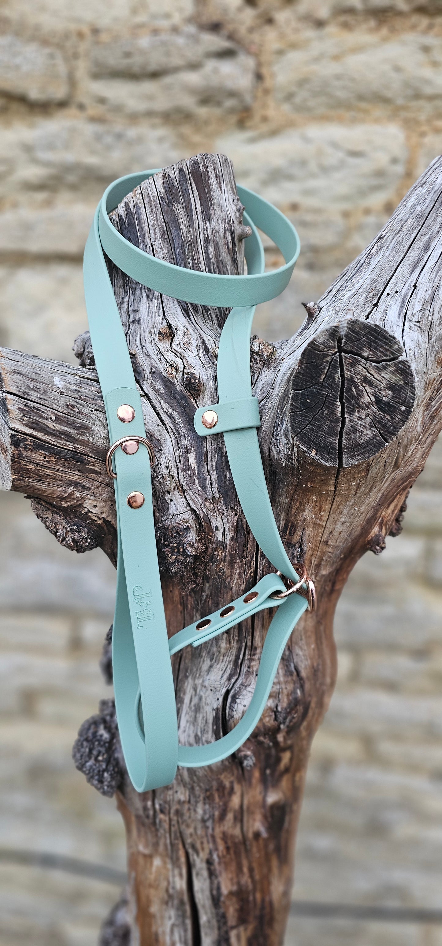 Sage - Waterproof BioThane© Dog Slip Lead