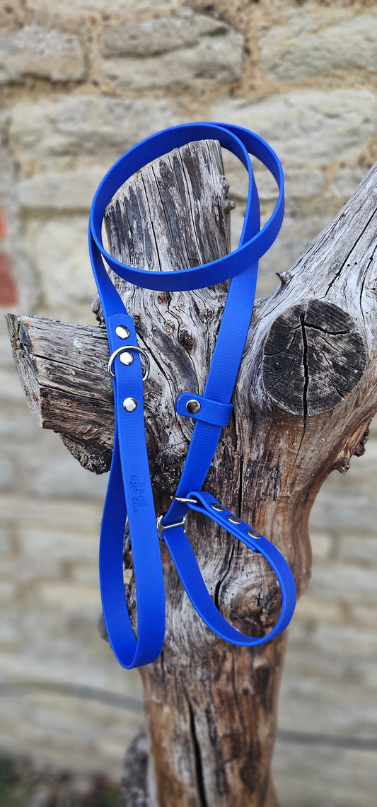 Royal Blue - Waterproof BioThane© Dog Slip Lead