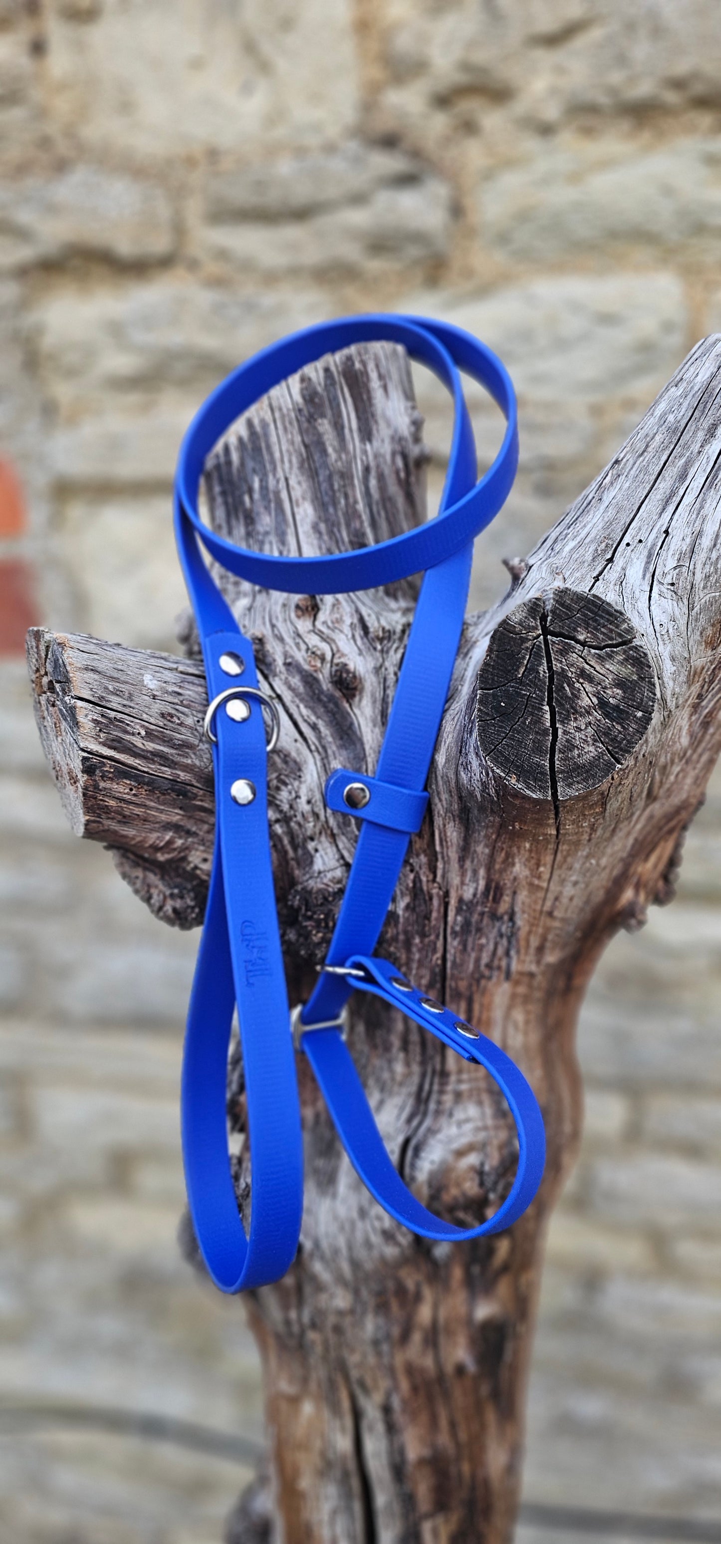 Royal Blue - Waterproof BioThane© Dog Slip Lead