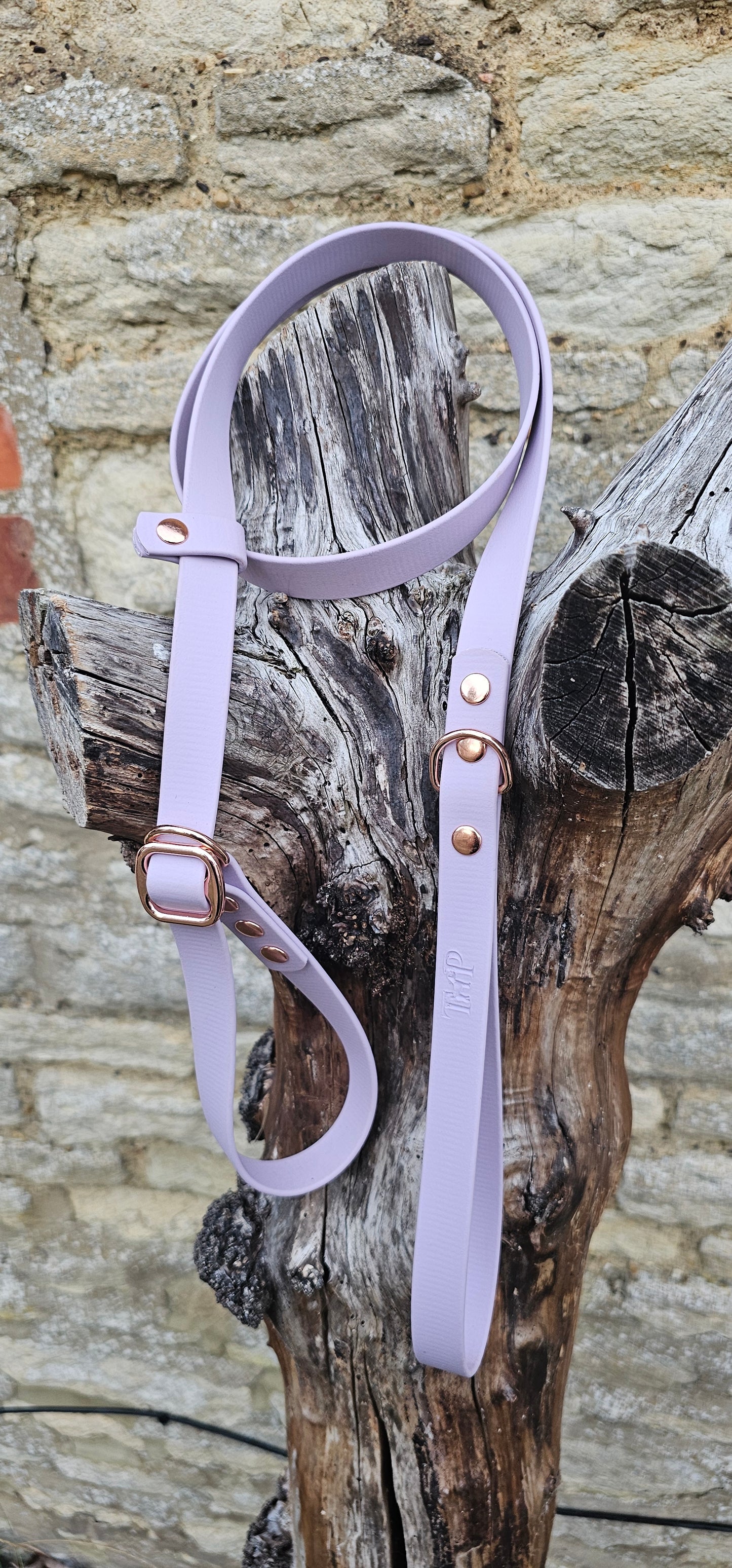 Lilac - Waterproof BioThane© Dog Slip Lead