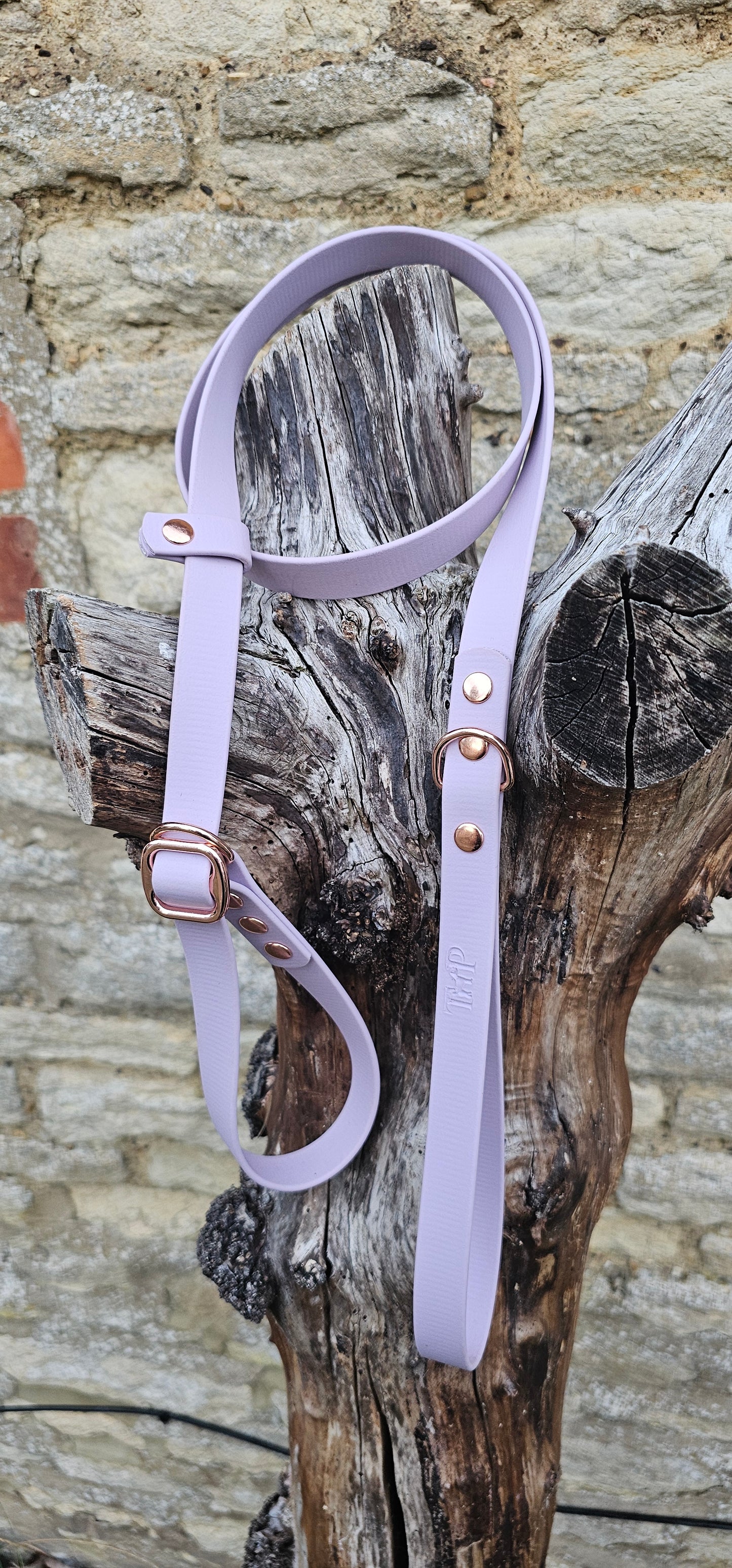 Lilac - Waterproof BioThane© Dog Slip Lead