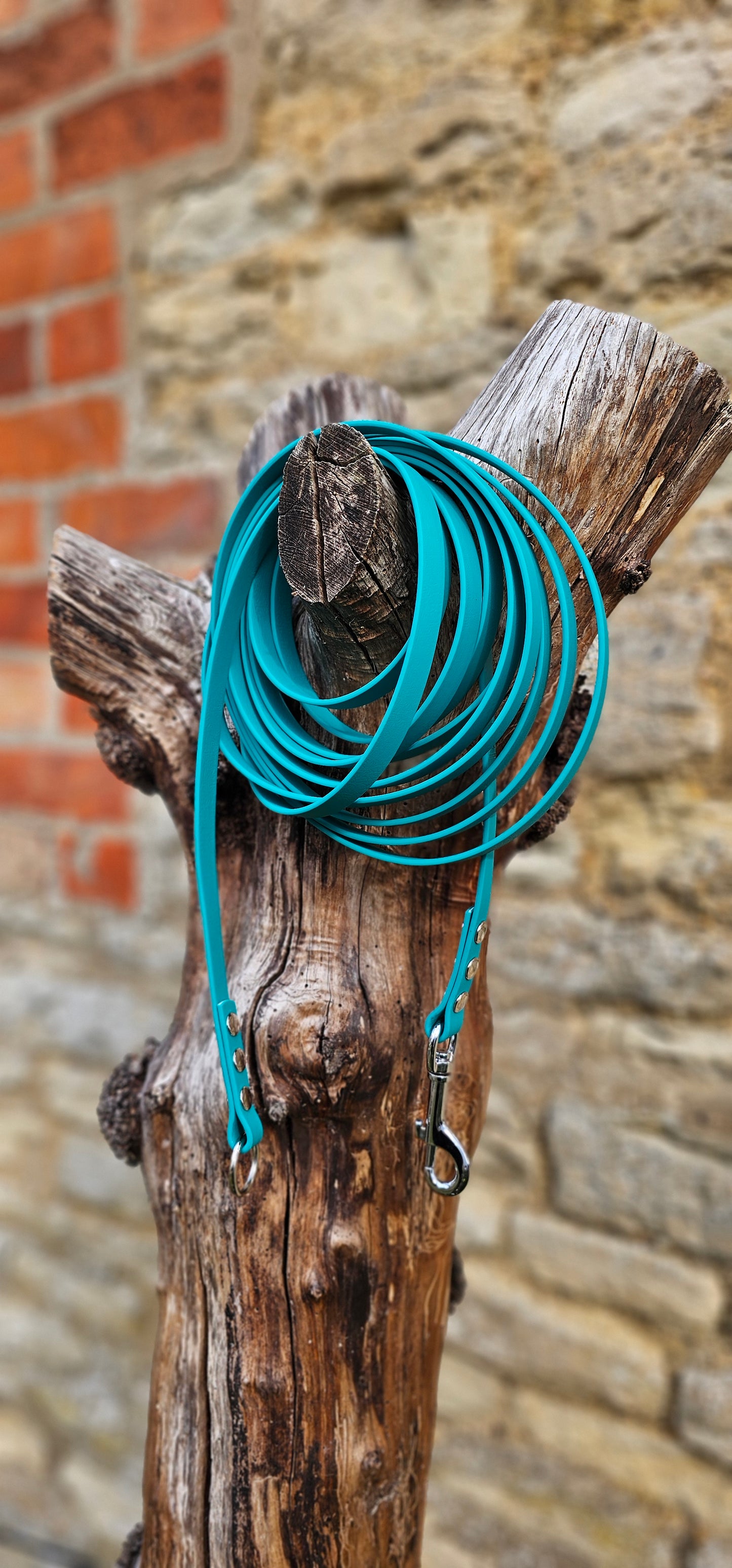 Pastel Green - Waterproof Horse Lunge Lines