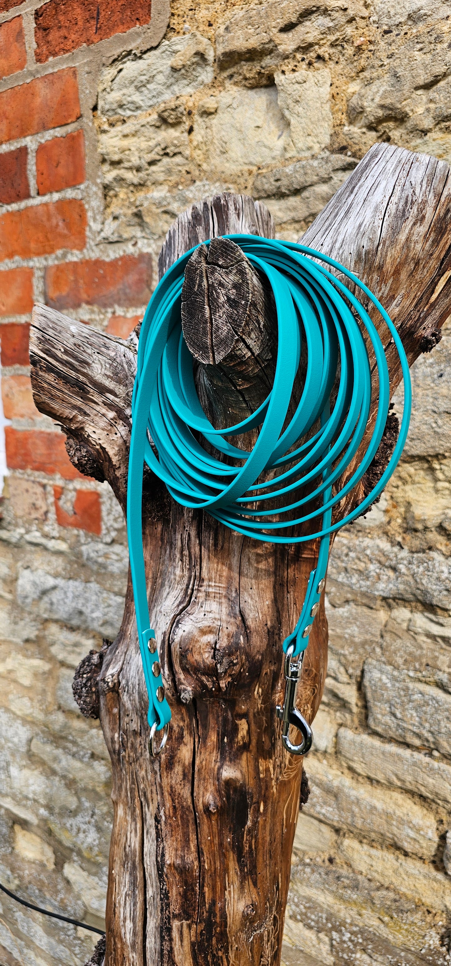 Teal - Waterproof Dog Long Line Lead