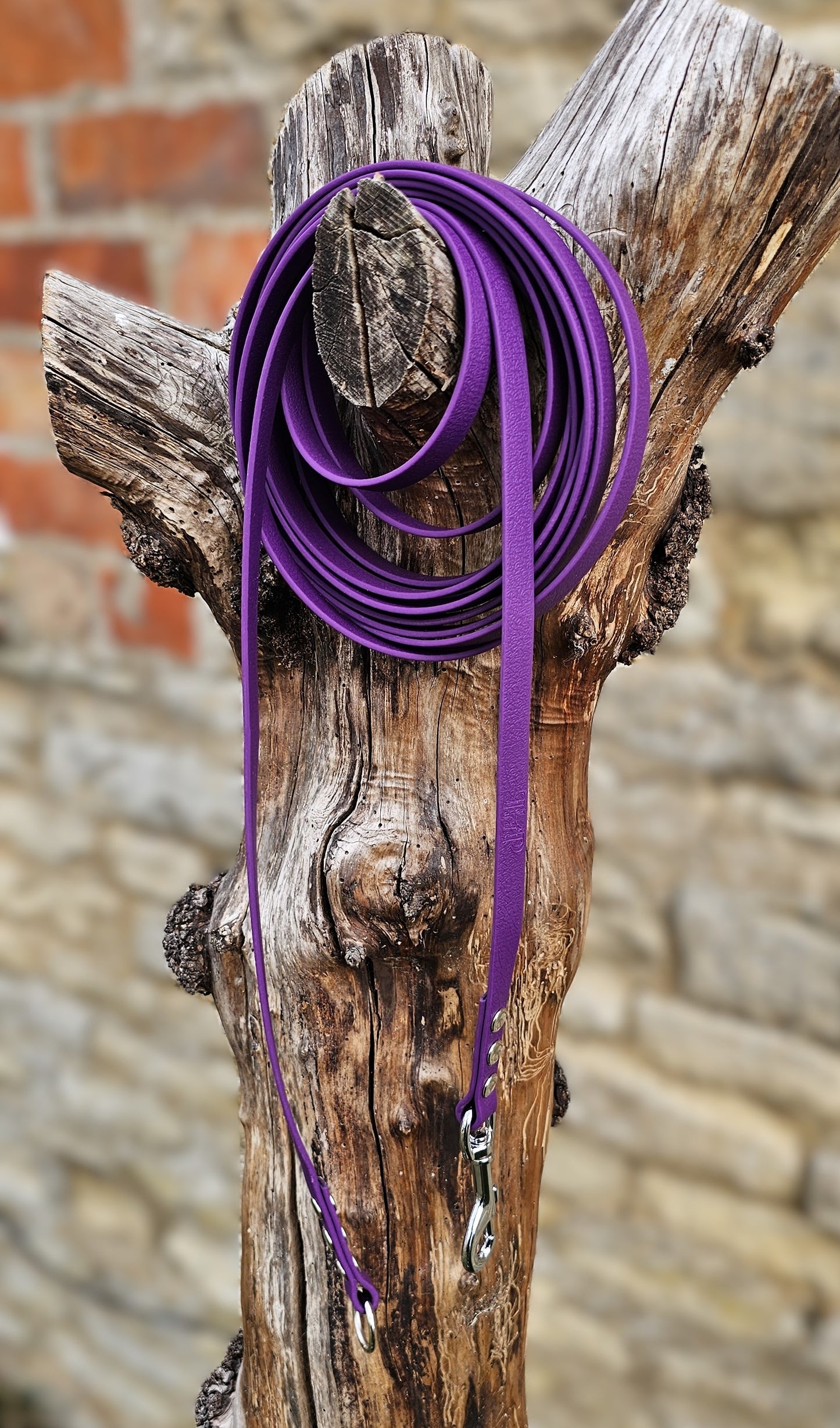 Warm Purple - Waterproof Dog Long Line Lead