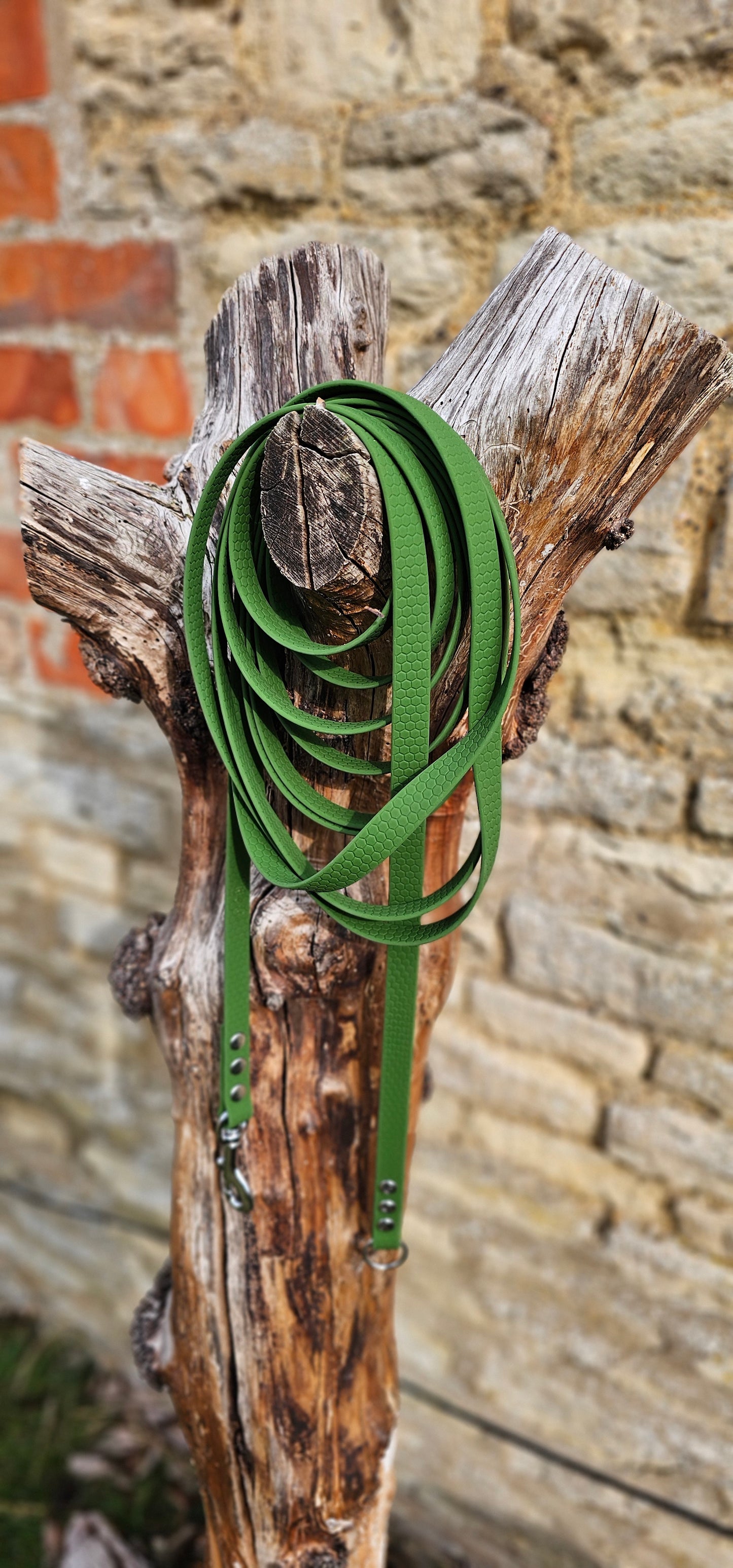 Olive - Waterproof Dog Long Line Lead