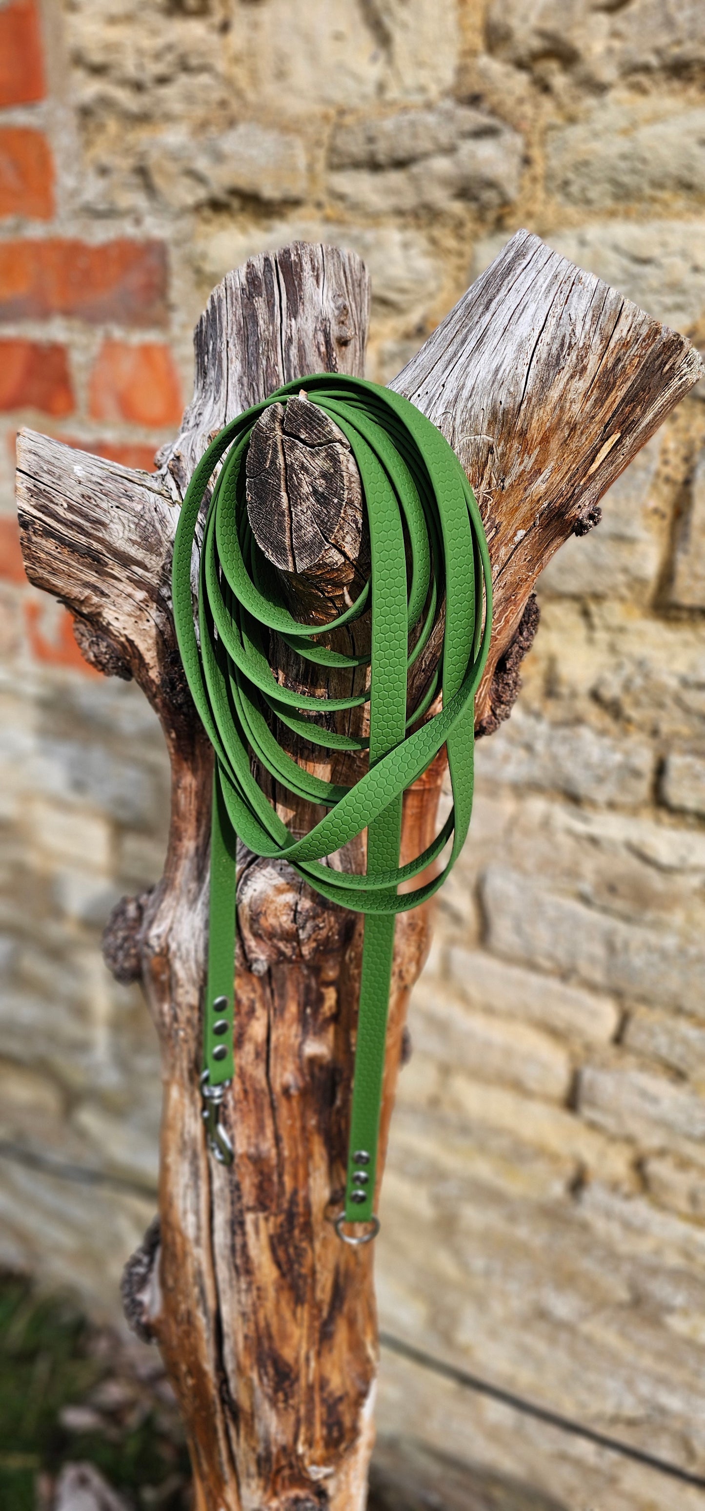 Olive Green - Waterproof Horse Lunge Lines
