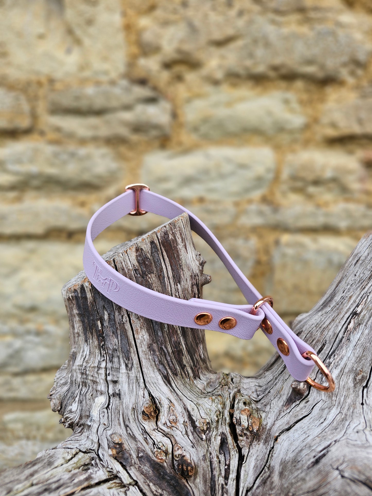 Lilac - Waterproof BioThane© safe-stop Slip Dog Collar