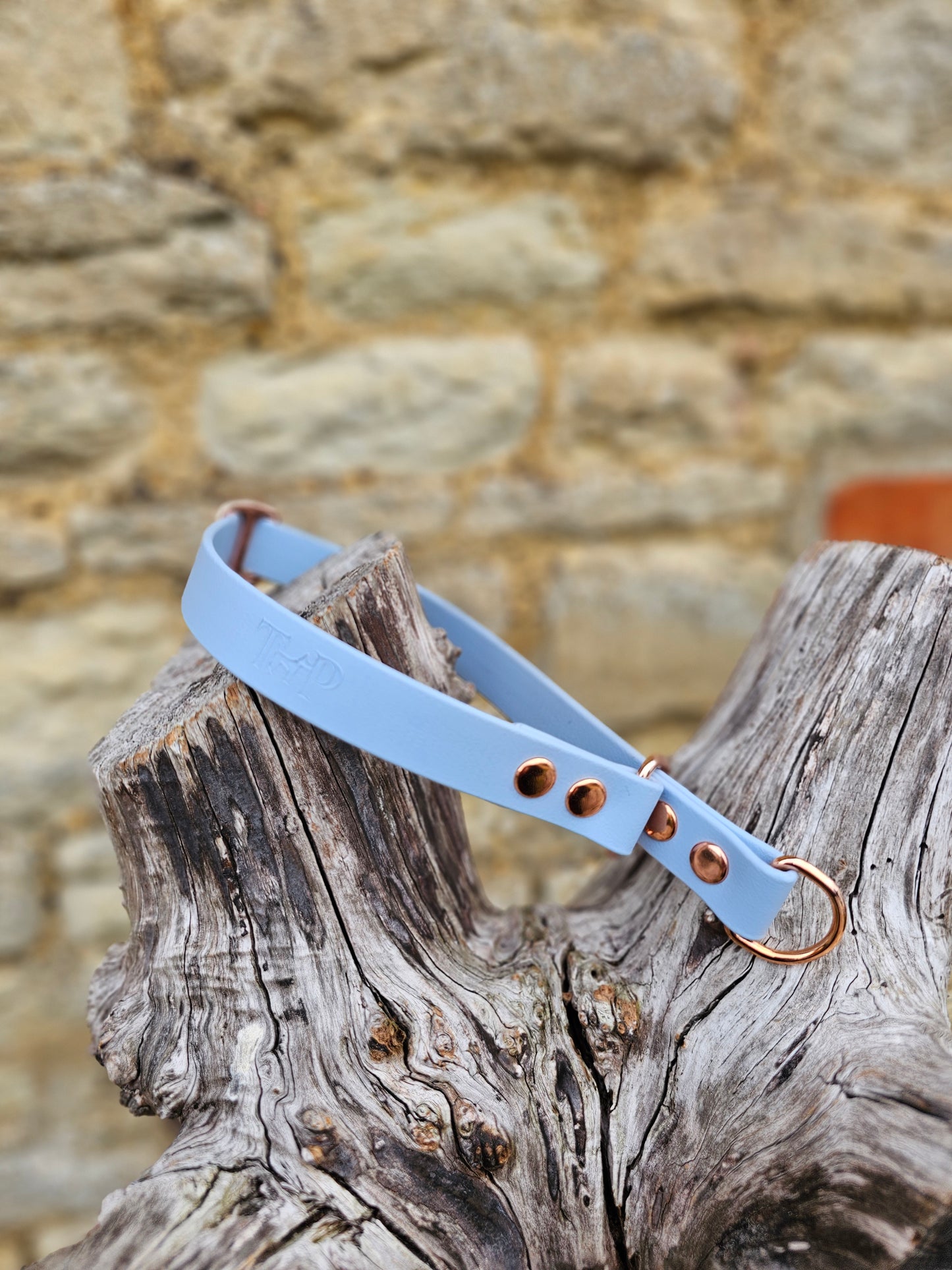 Baby Blue - Waterproof BioThane© safe-stop Slip Dog Collar