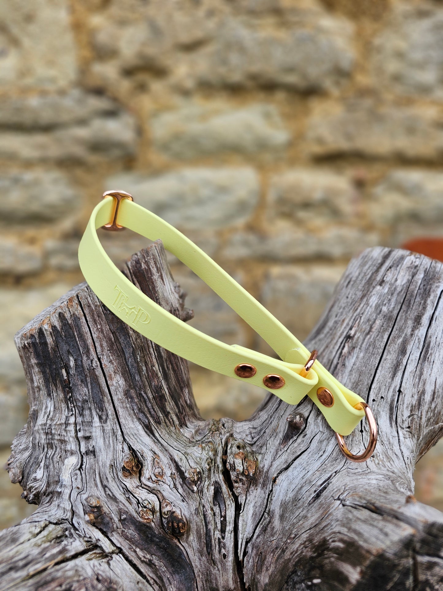 Lemon - Waterproof BioThane© safe-stop Slip Dog Collar